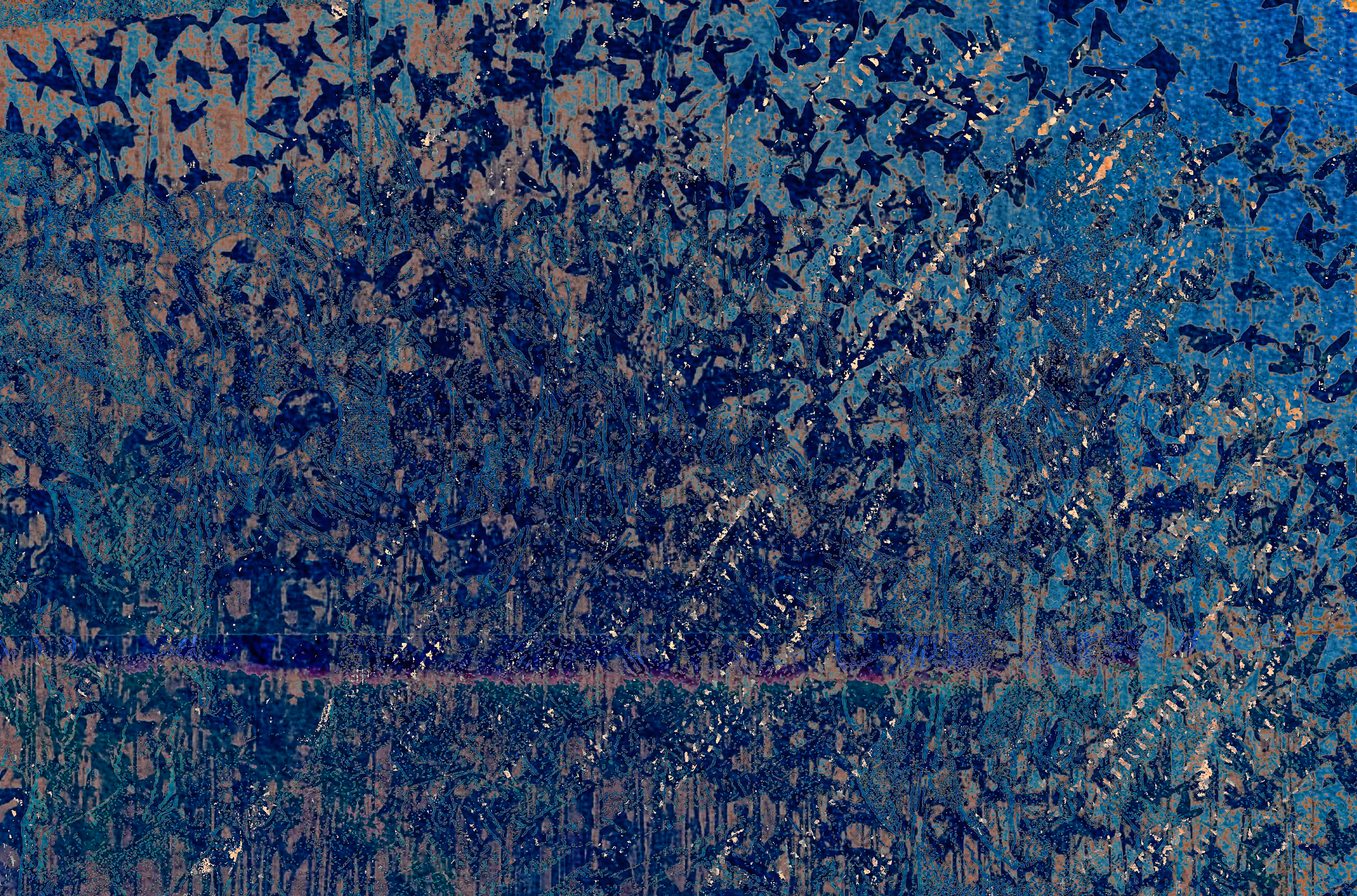 The Founders of the North American Starling Population