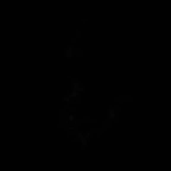 Hyades #48
