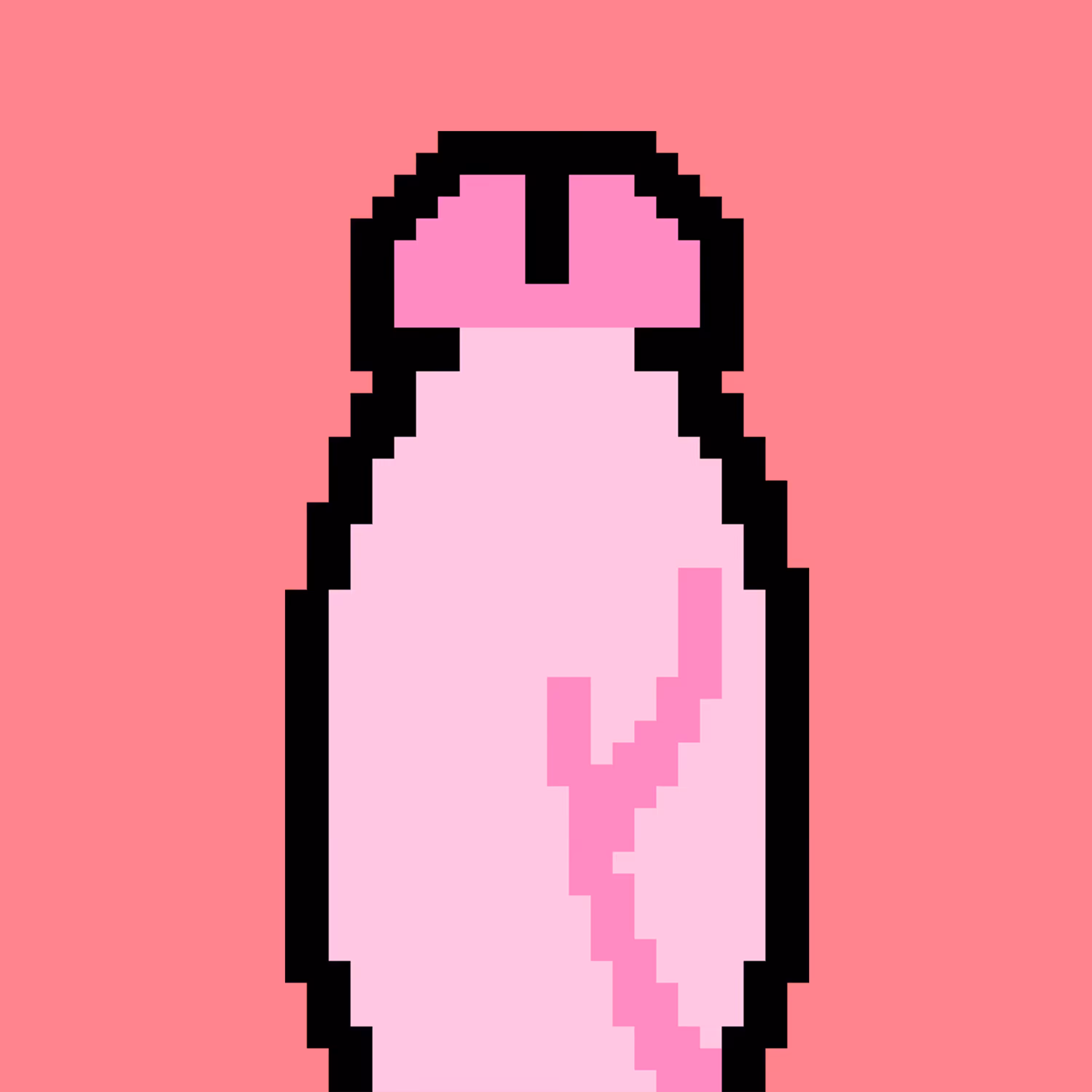 DICK PIC #59