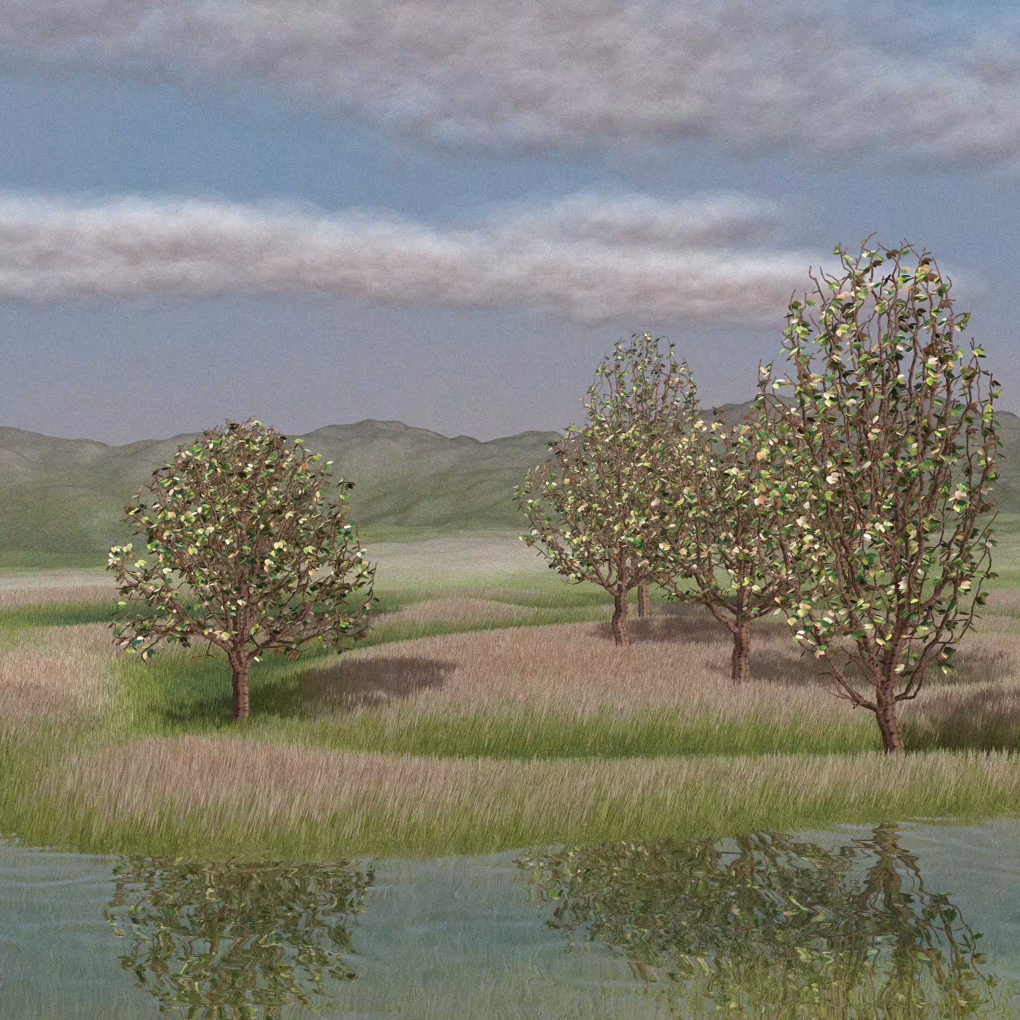 Landscapes out of my mind #169