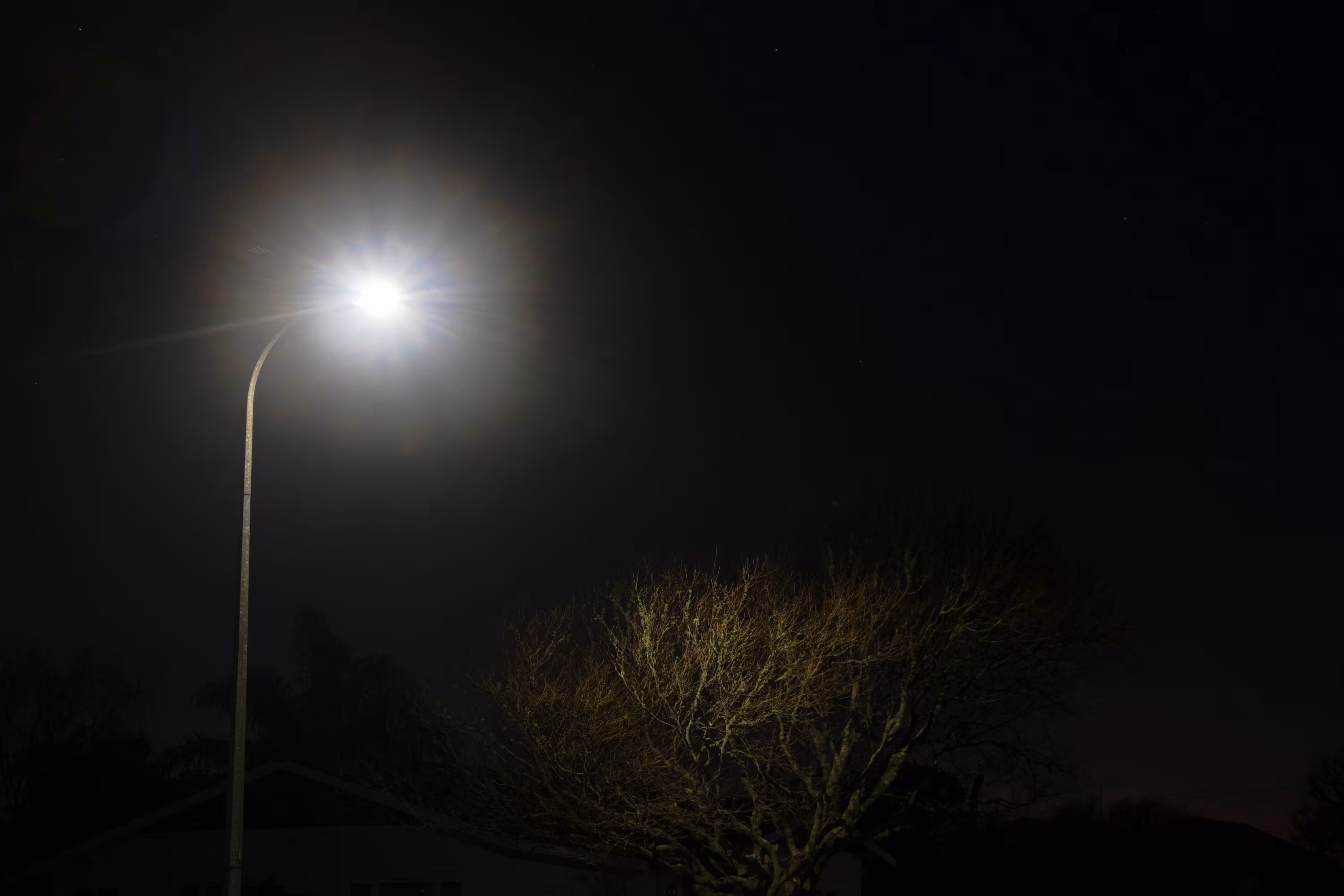 a fickle light #12