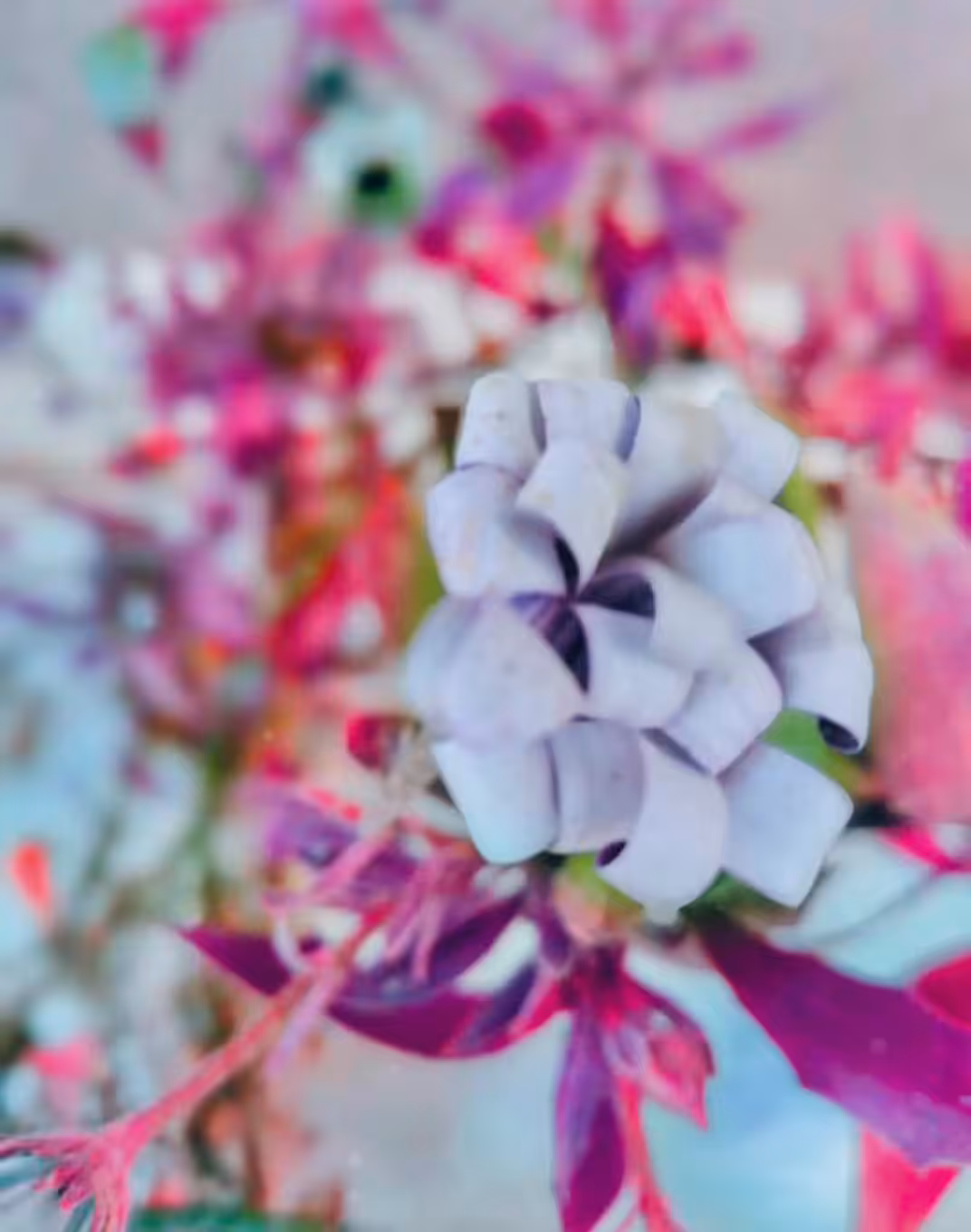 Dreamy Flower
