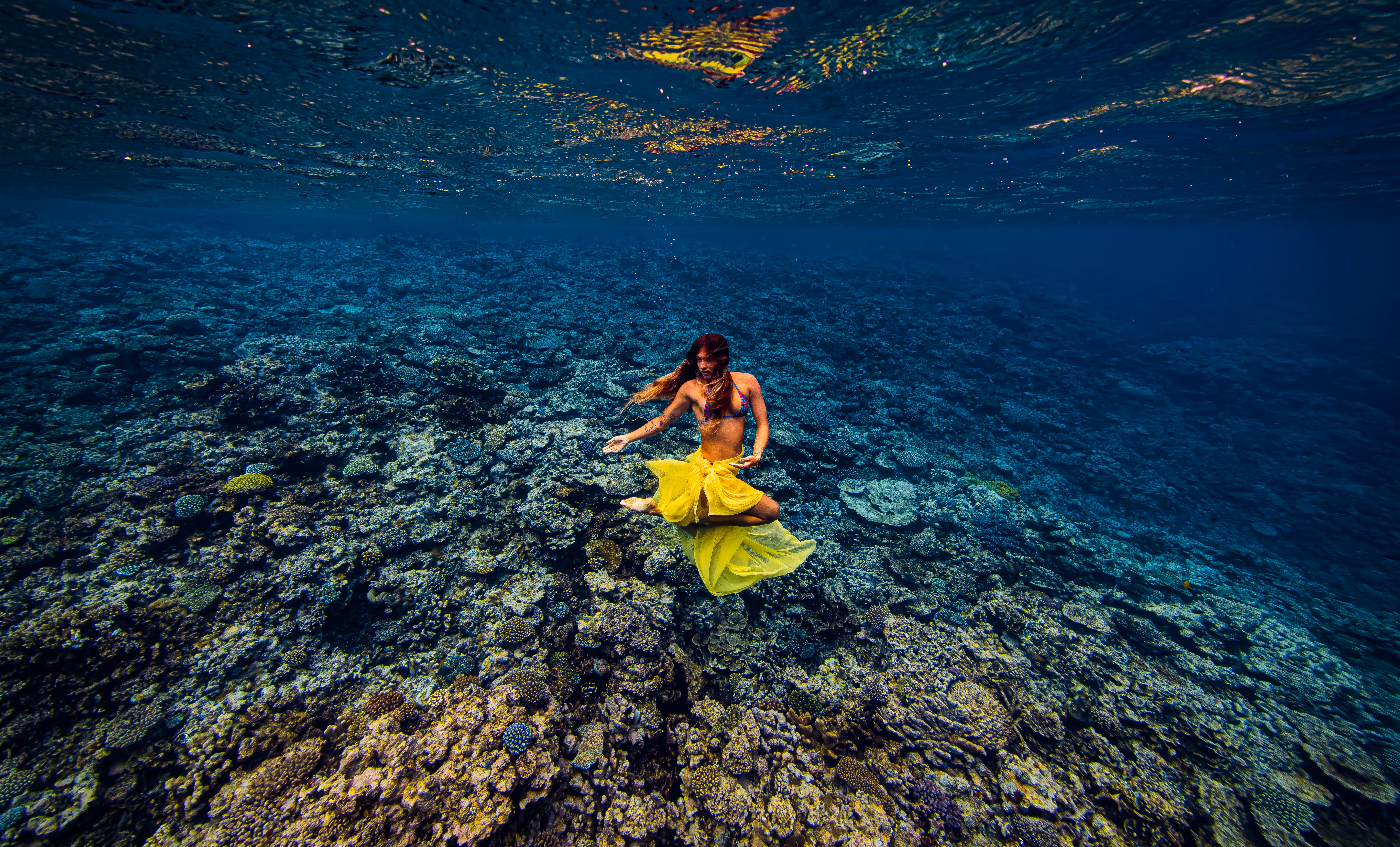 Plenty of Fish in the Sea