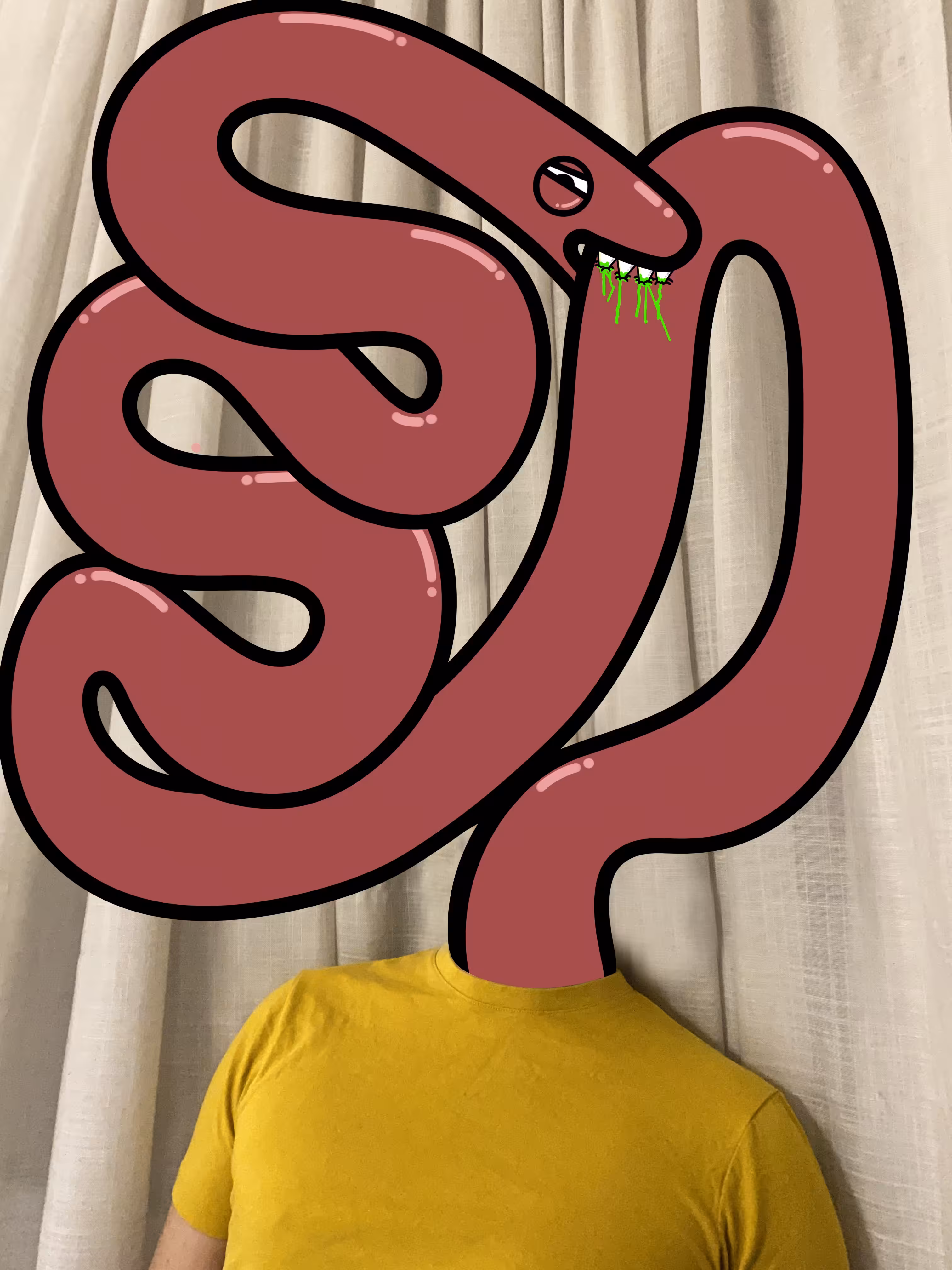 Snakes: Clamp