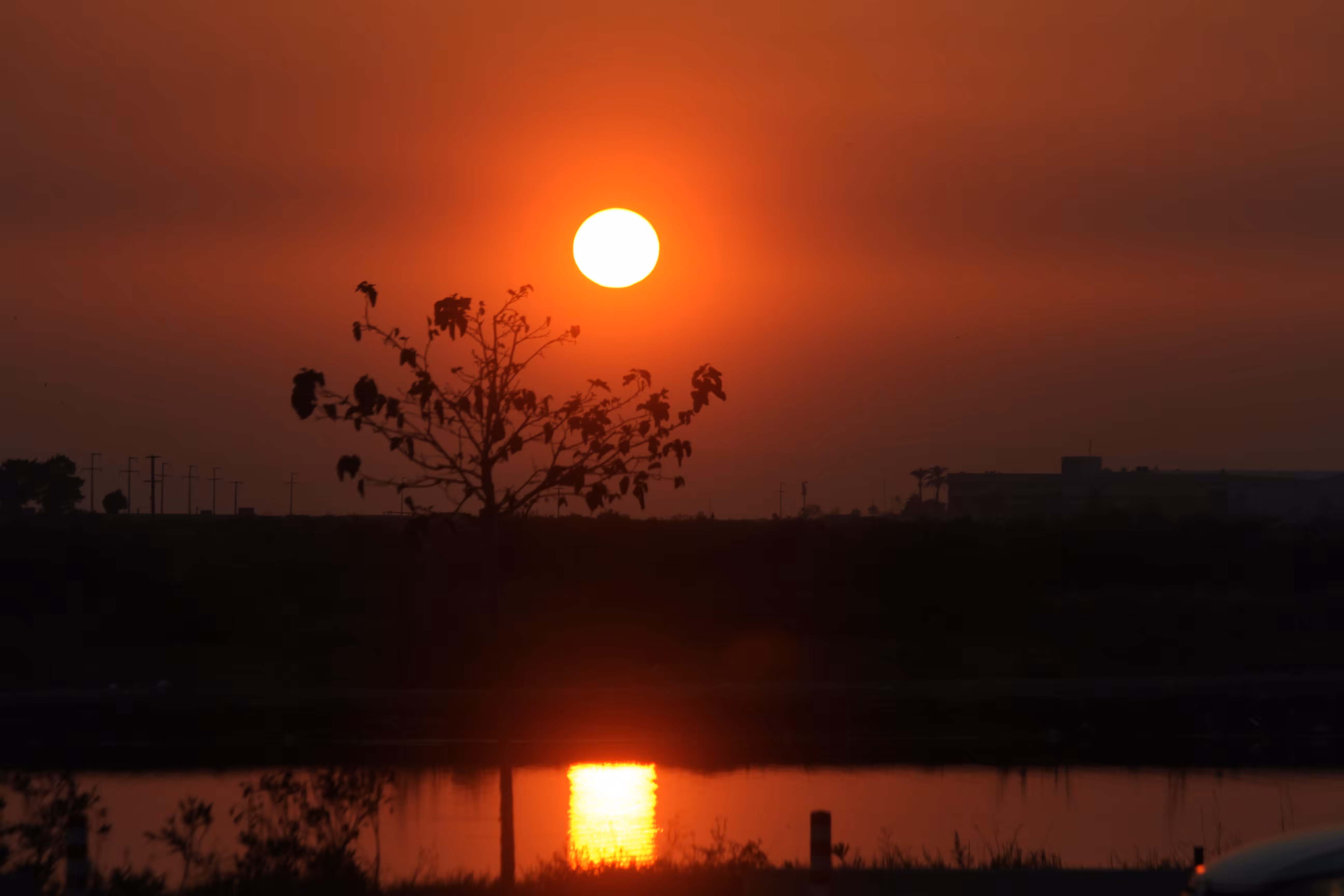 Burning Horizon: Sunset Reflections