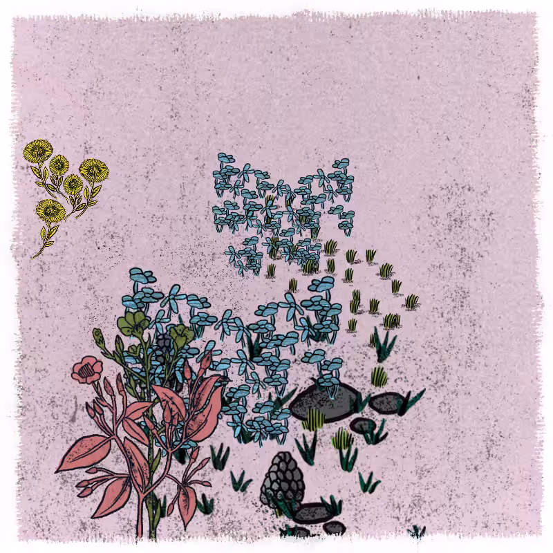 Gardens  #98