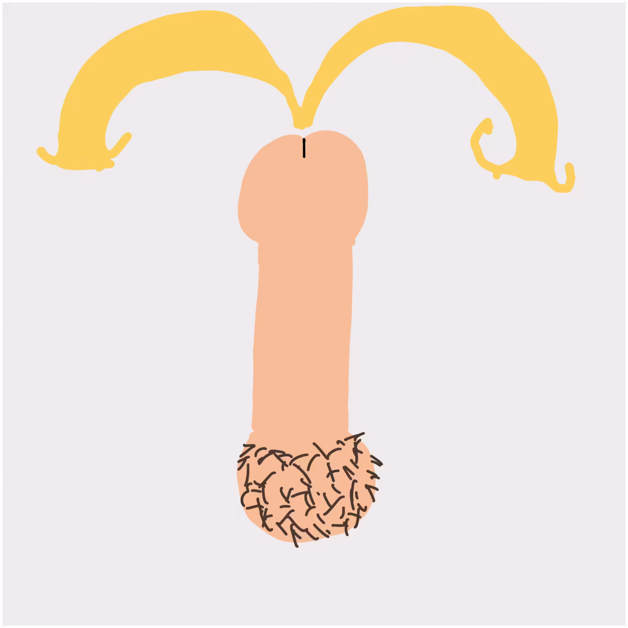 Dickgenerative Art #3