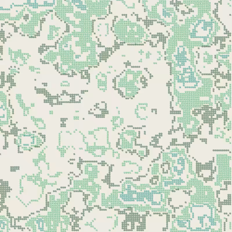 Petri 1500 #1324