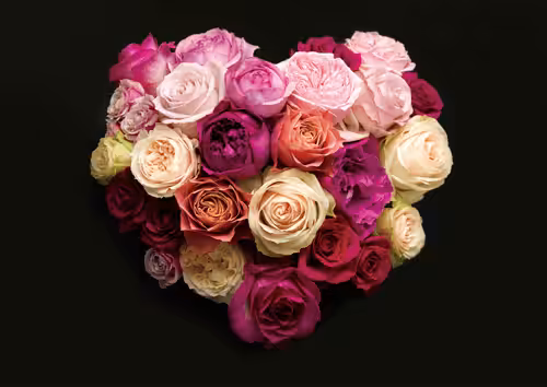 takio koizumi Art Collection: Heart #1