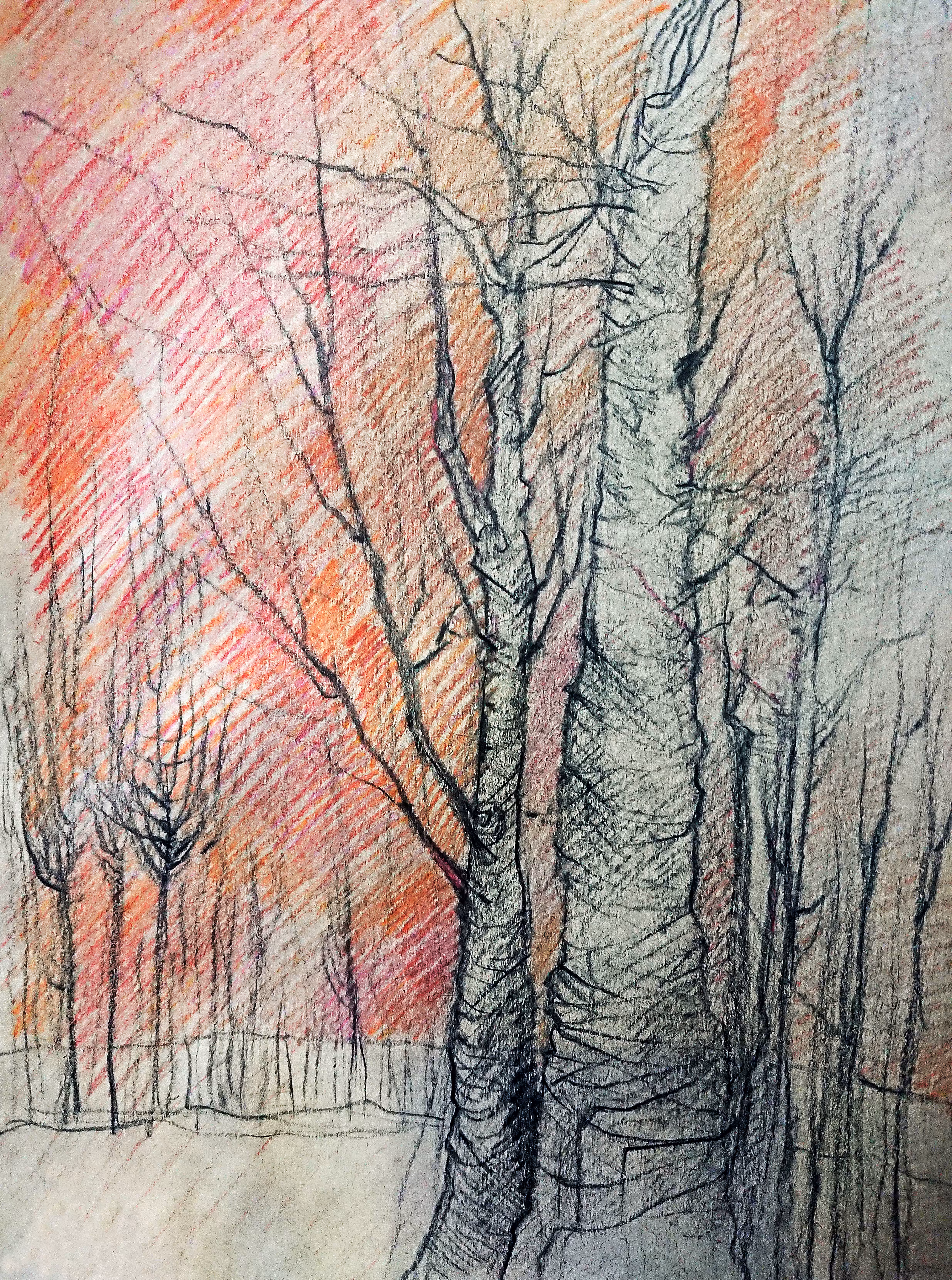 Trees#1