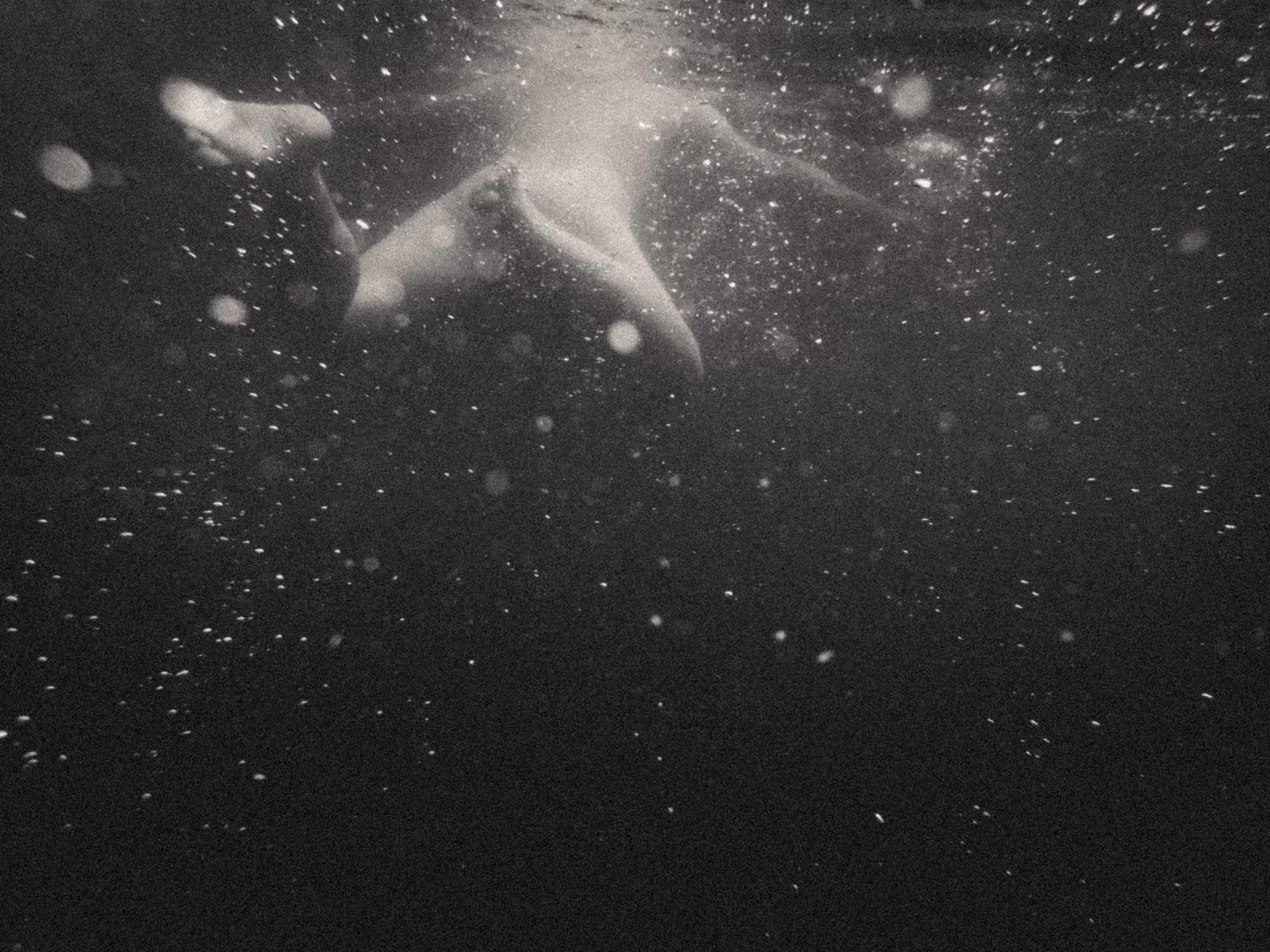 Splash 