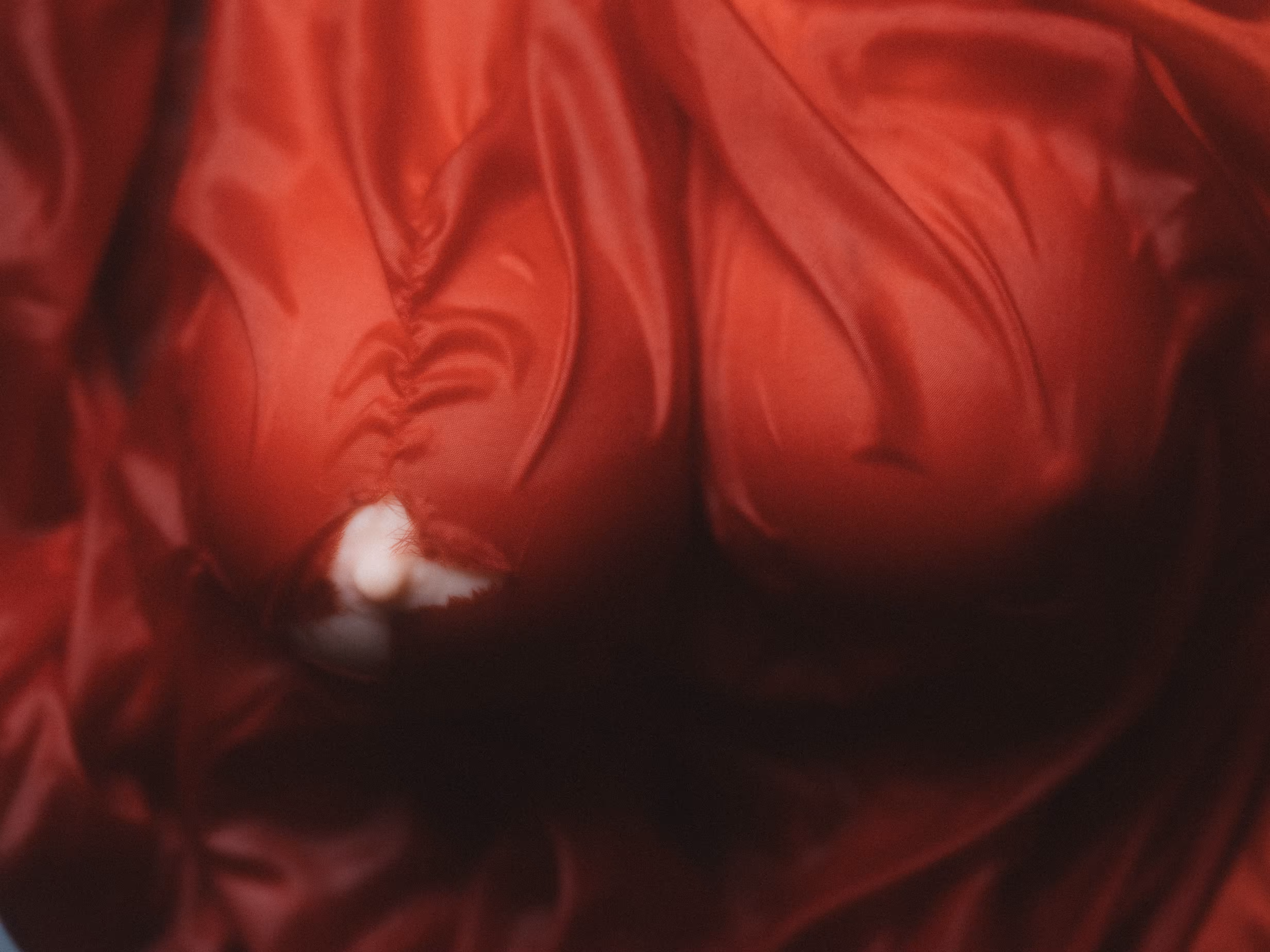 It's On — Pleasure #5