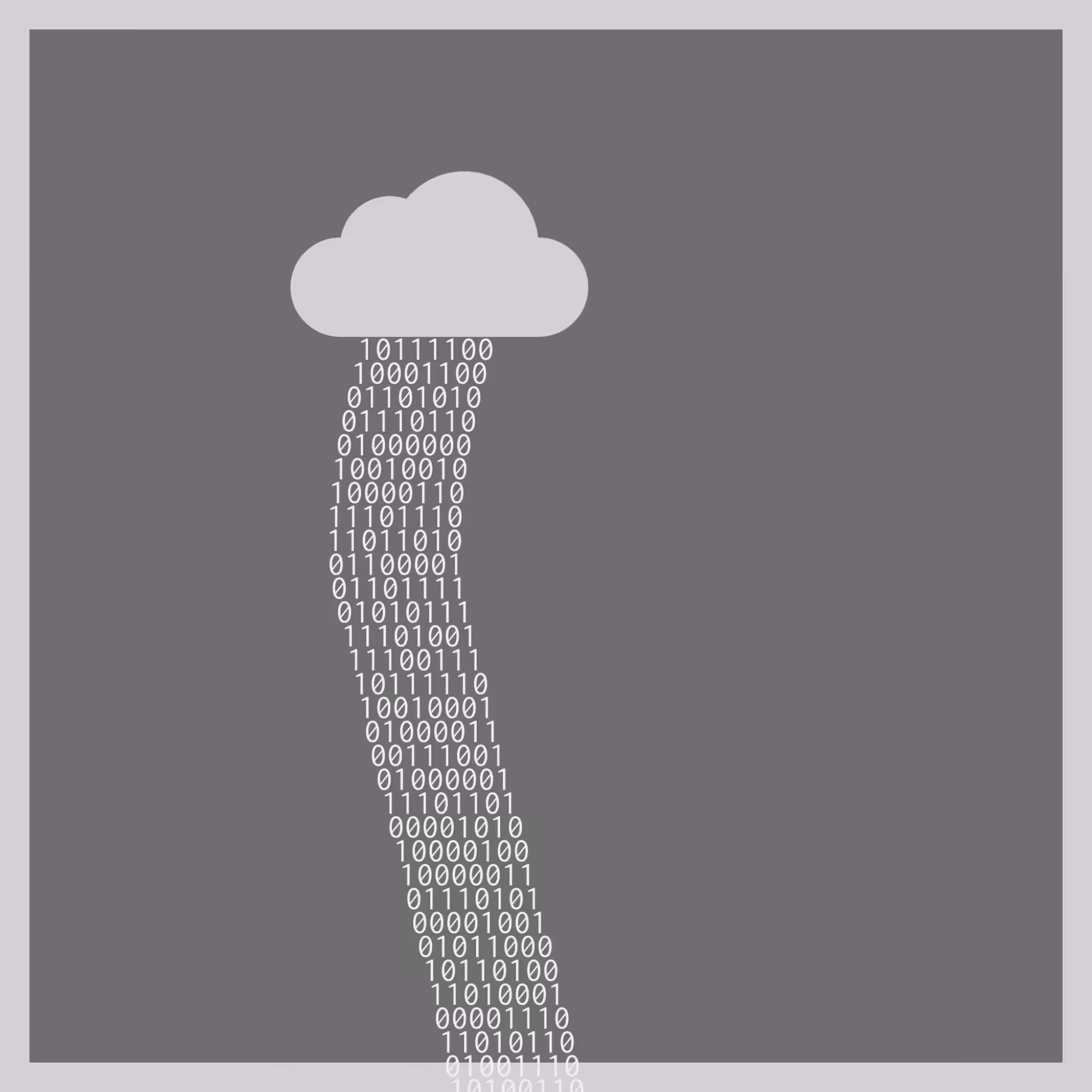 bit rain #29