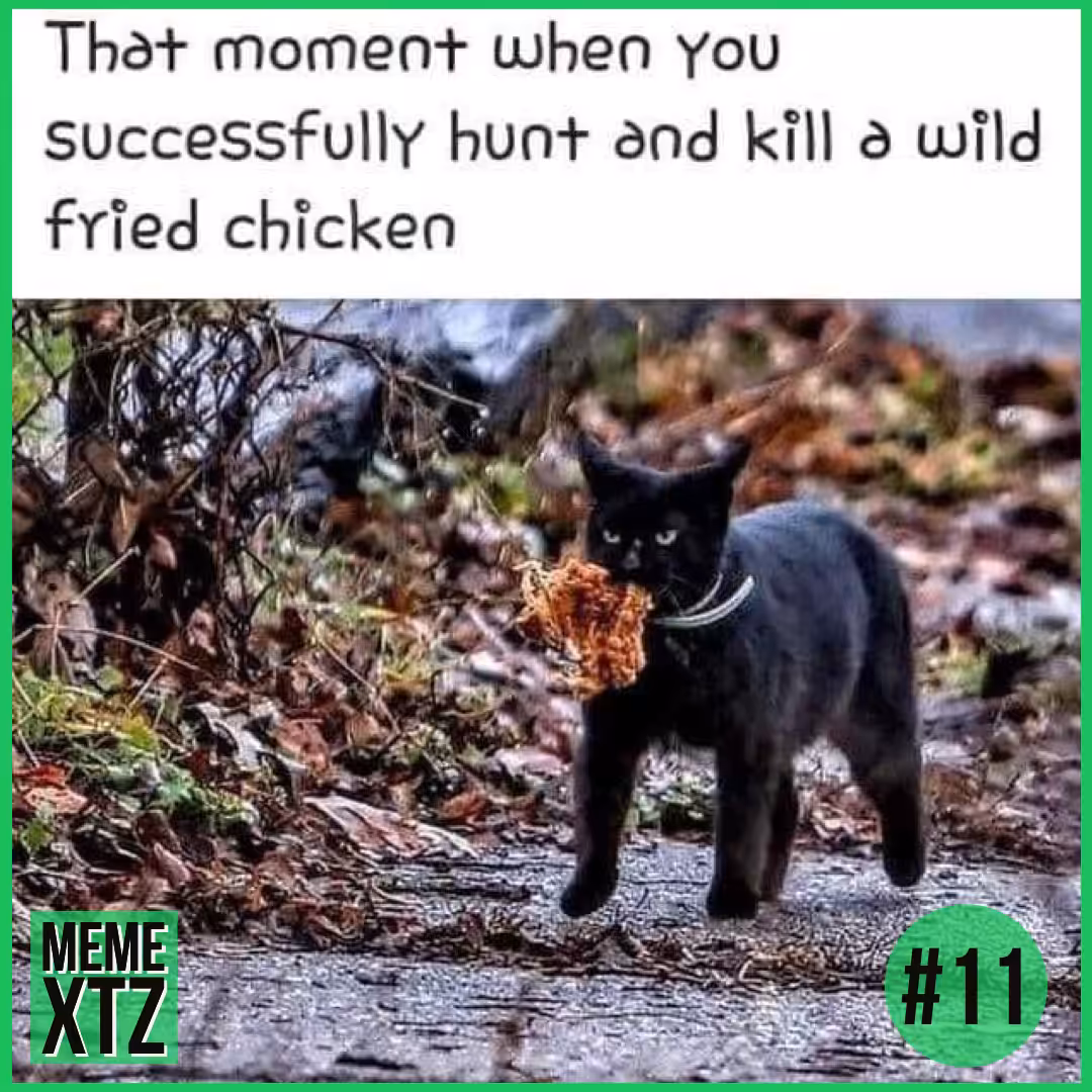 MEME XTZ #11