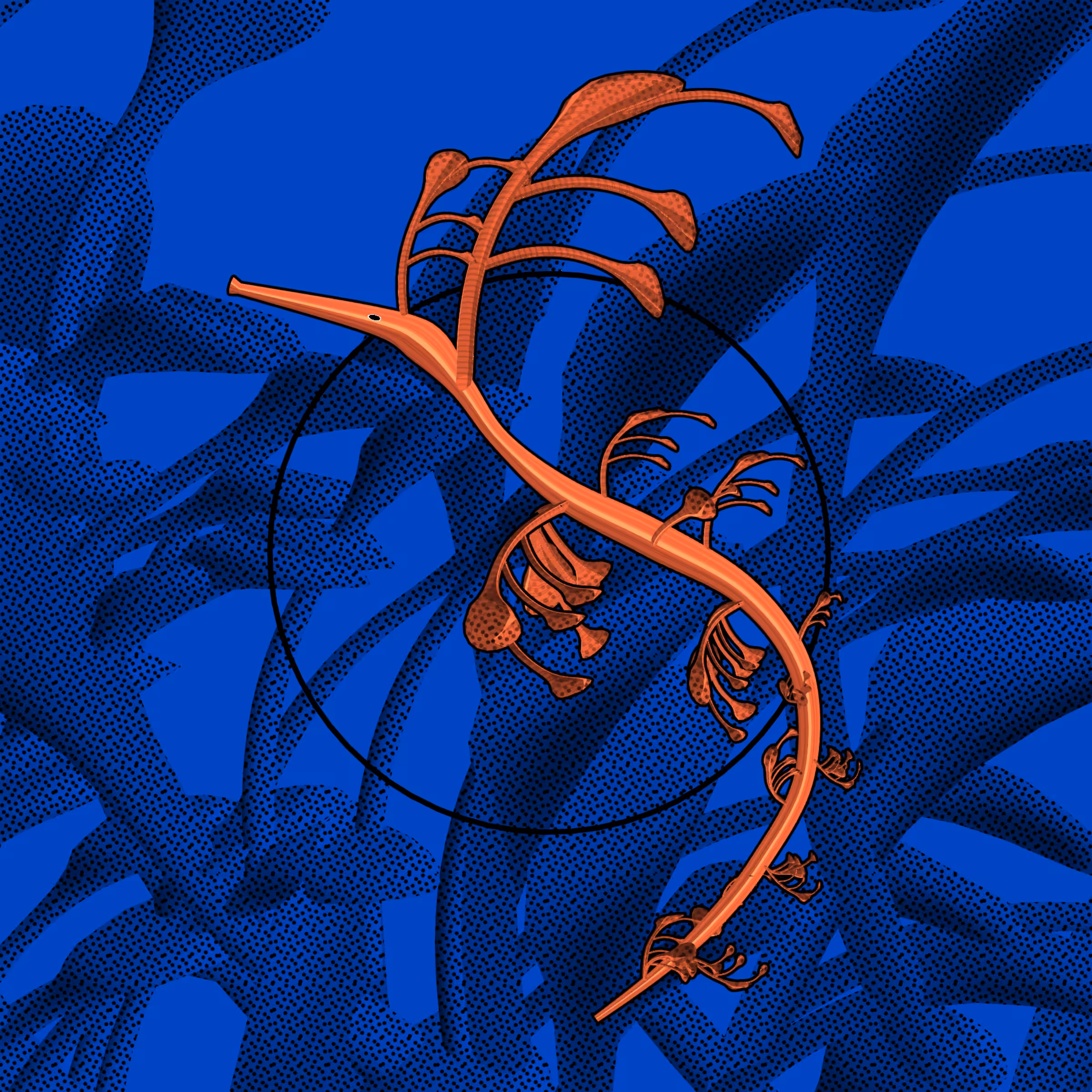 Seadragons #353
