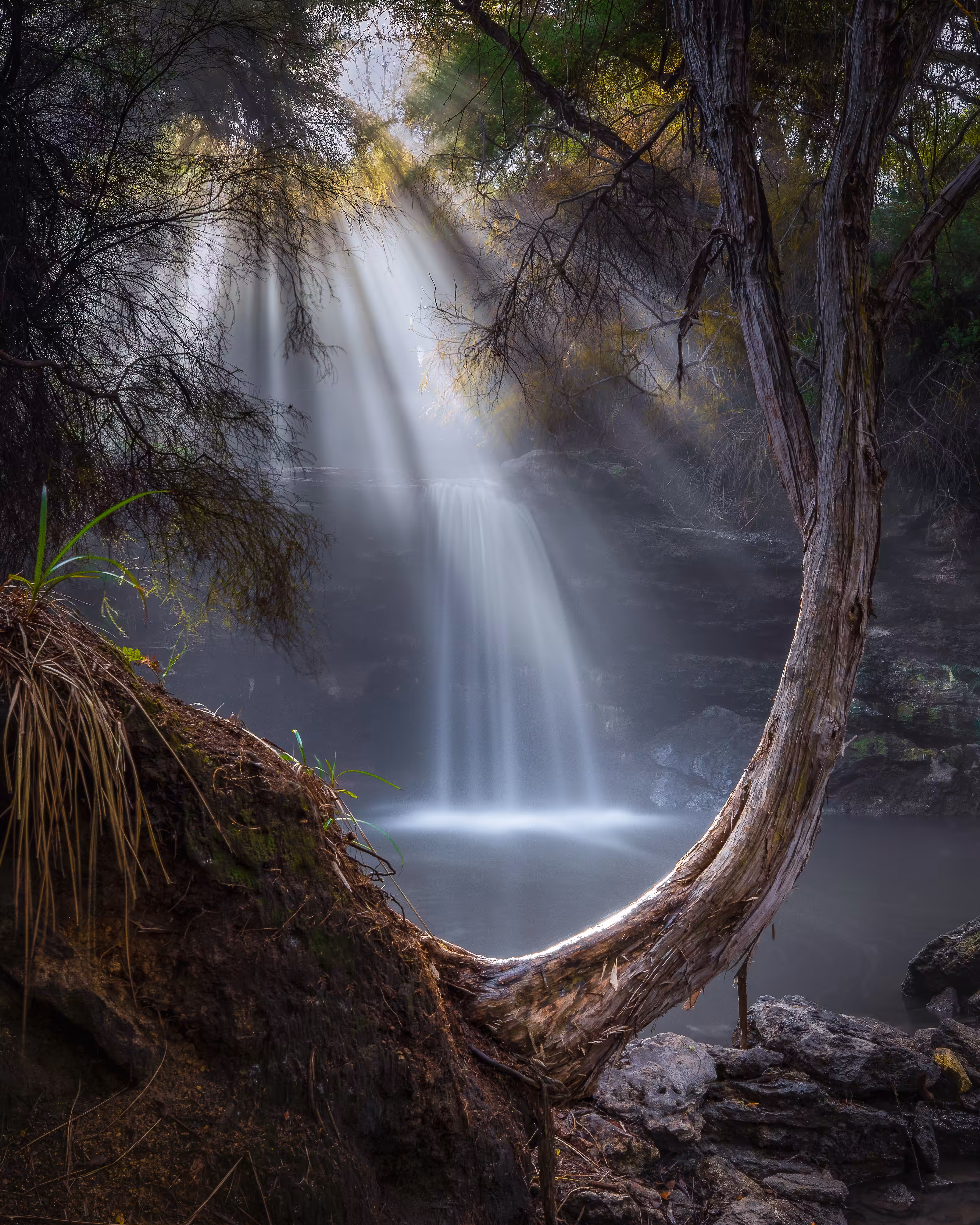 Silence of Light