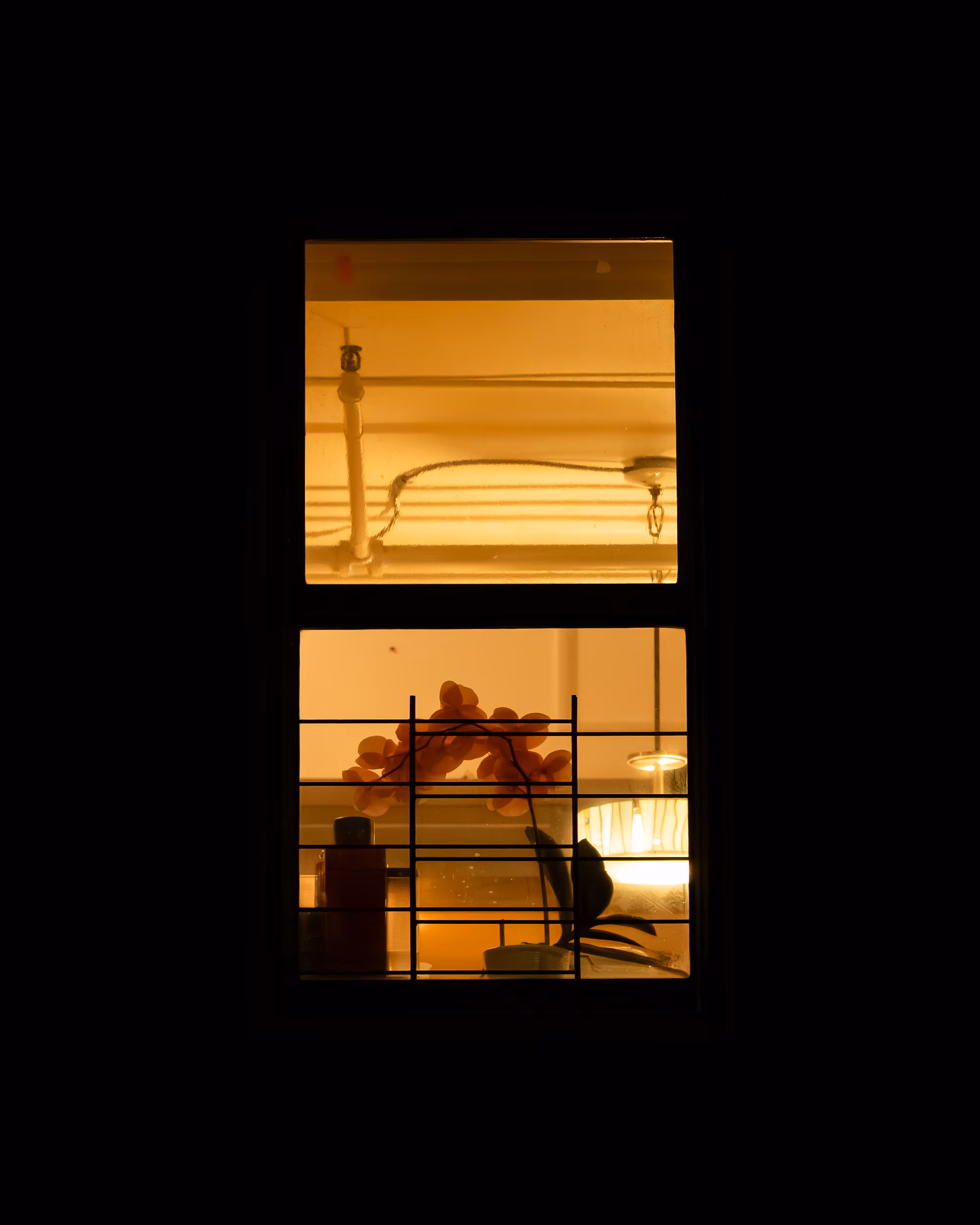 WINDOWS // NYC: WINDOW 799