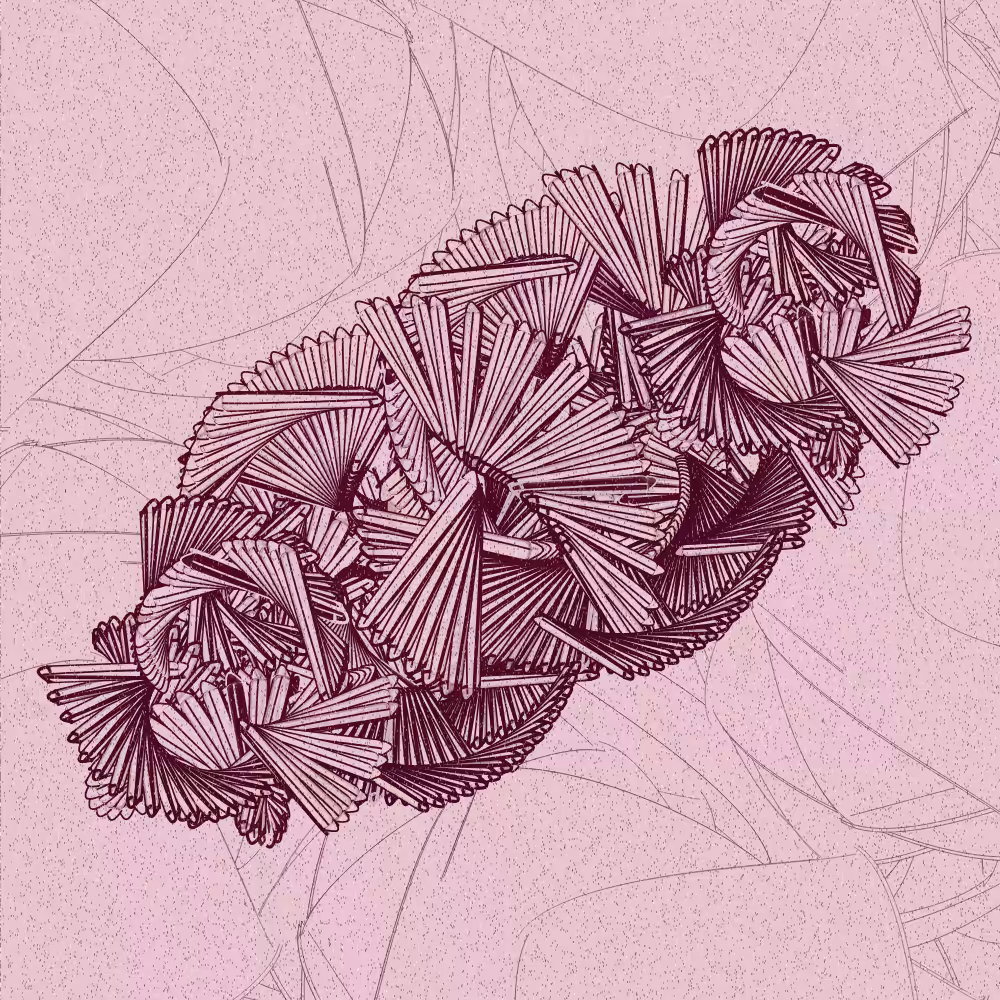The beauty of imperfection #117