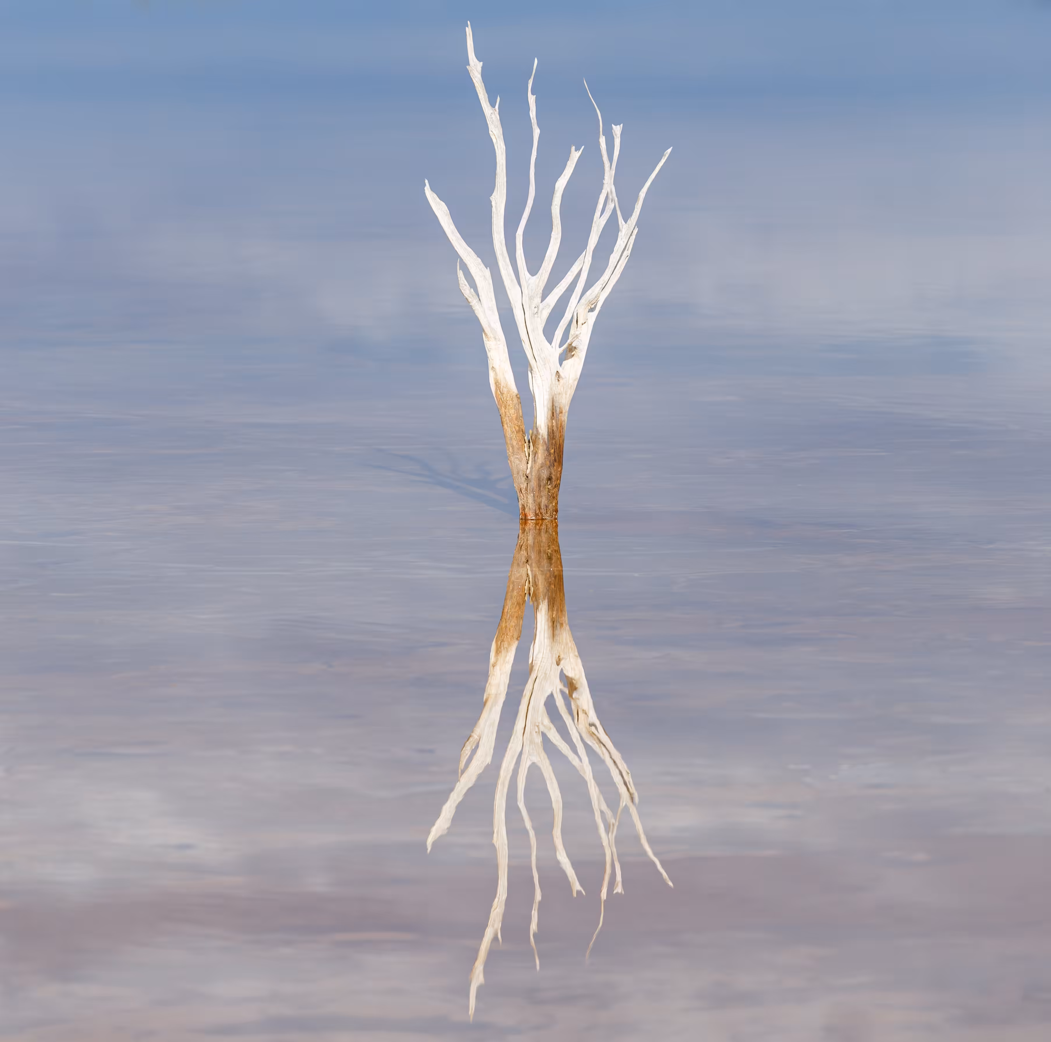 Upside Down