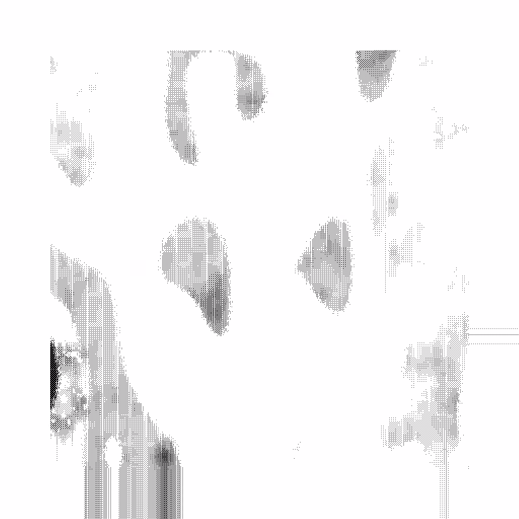 System Body