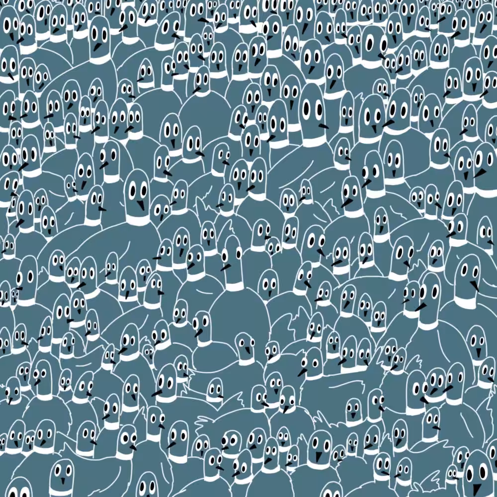 A Flock of Pigeons