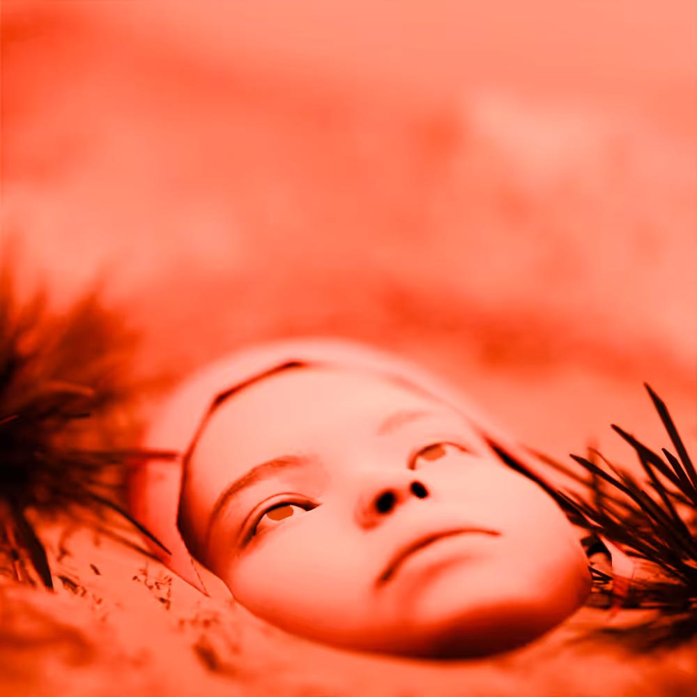 BOG BODY