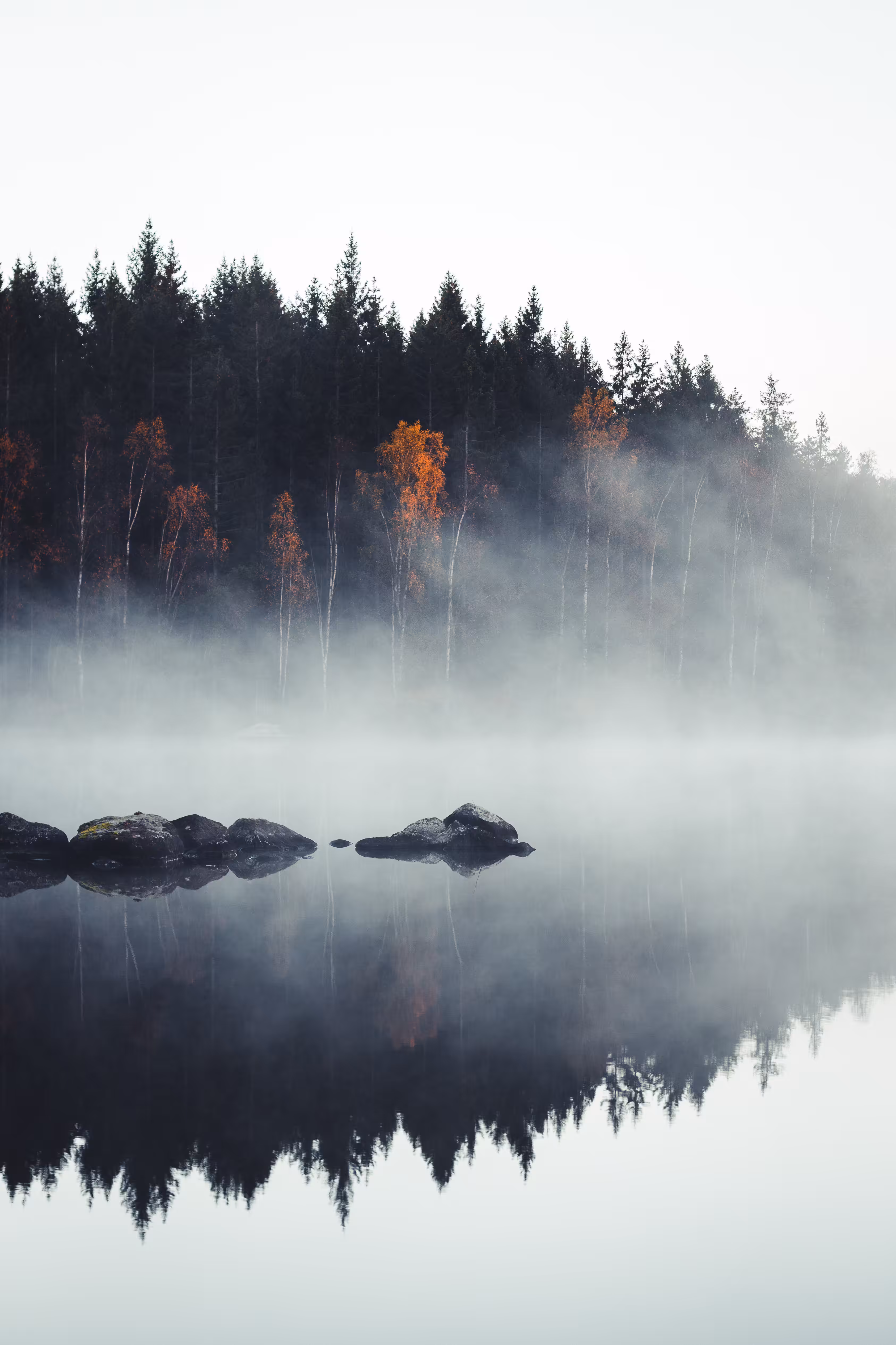 #2 The misty morning