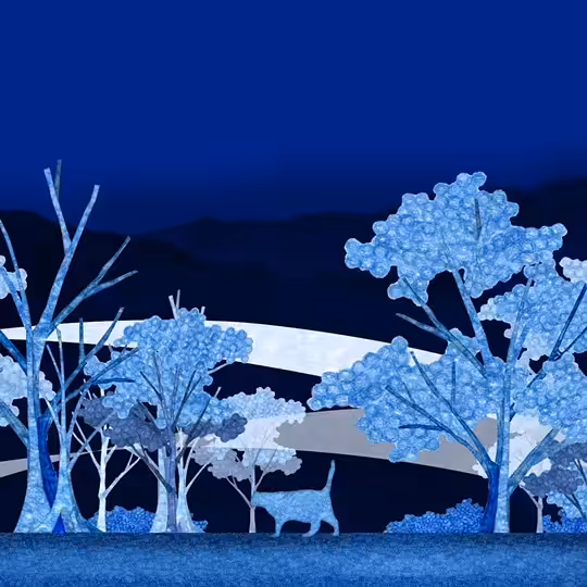 Royal Blue Cat Journey
