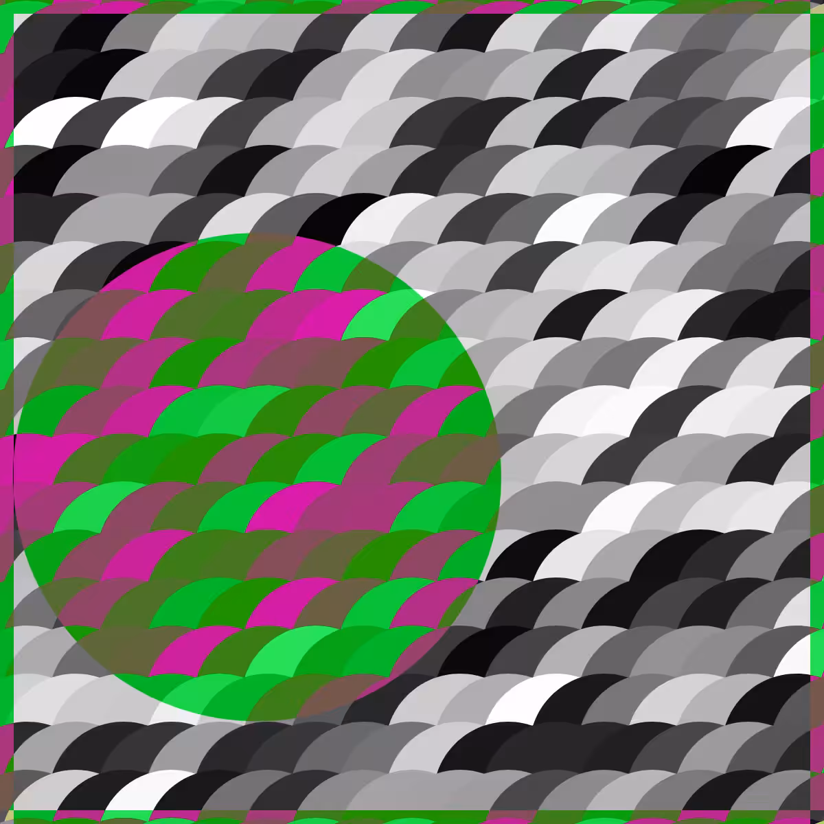 Magnify #24