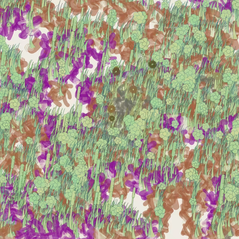 Petri 1500 #77