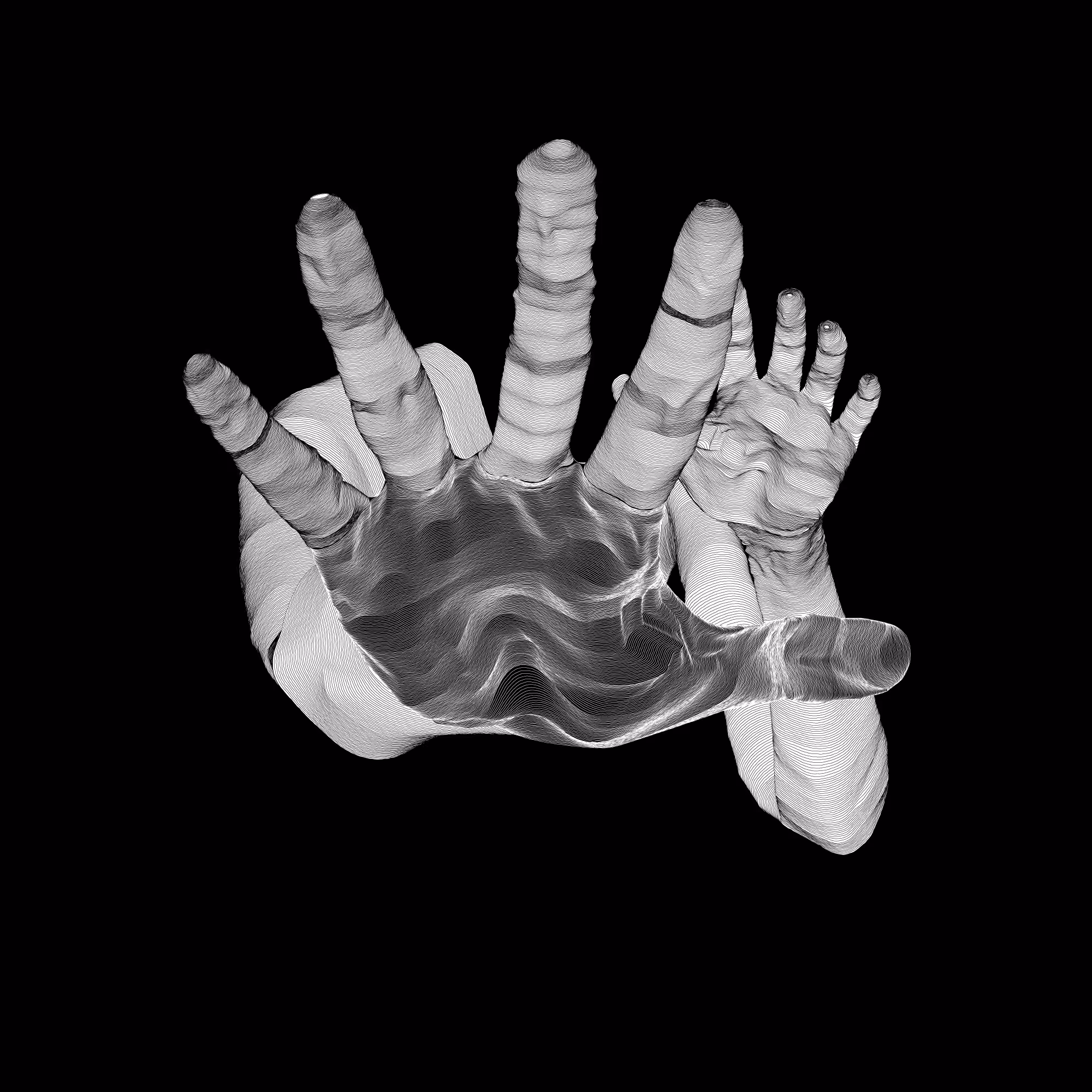 AnAtomy Base 05