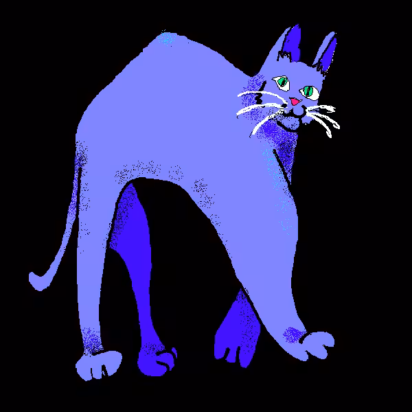 paintd objkt cat