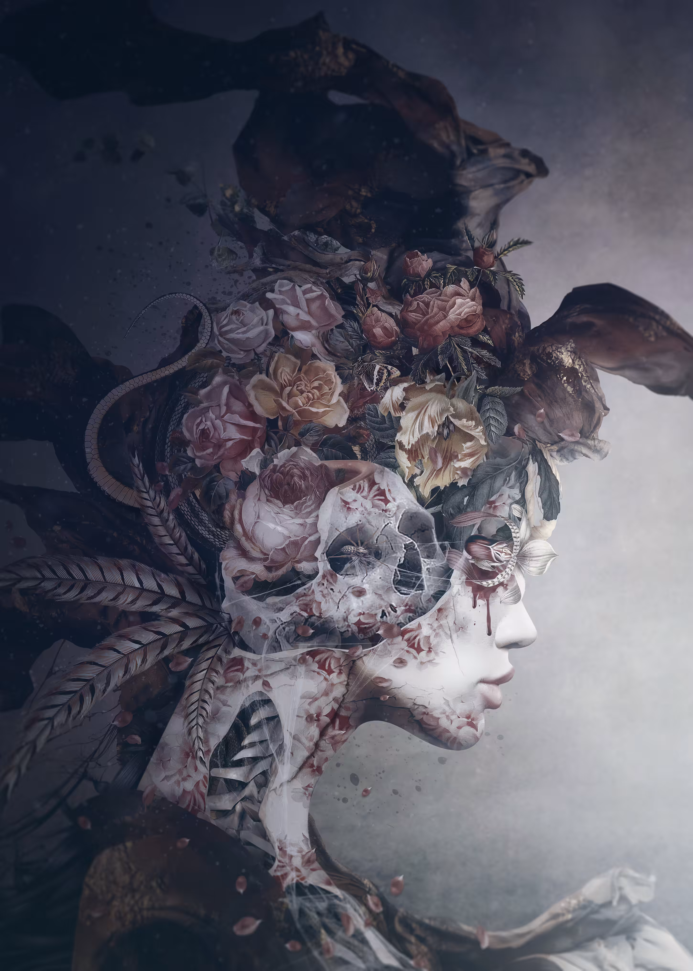 Skull Queen 017
