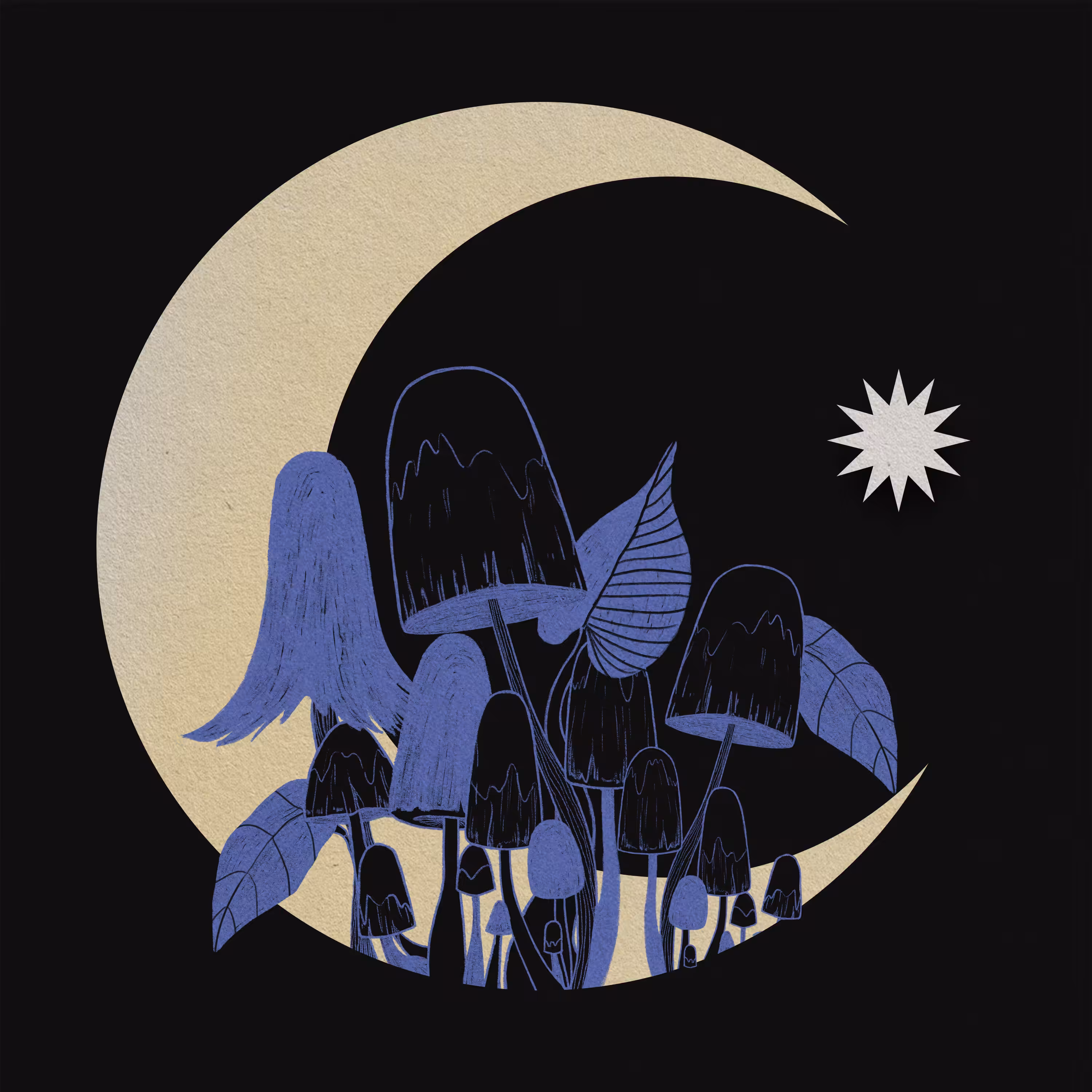 Mushroons in the moon