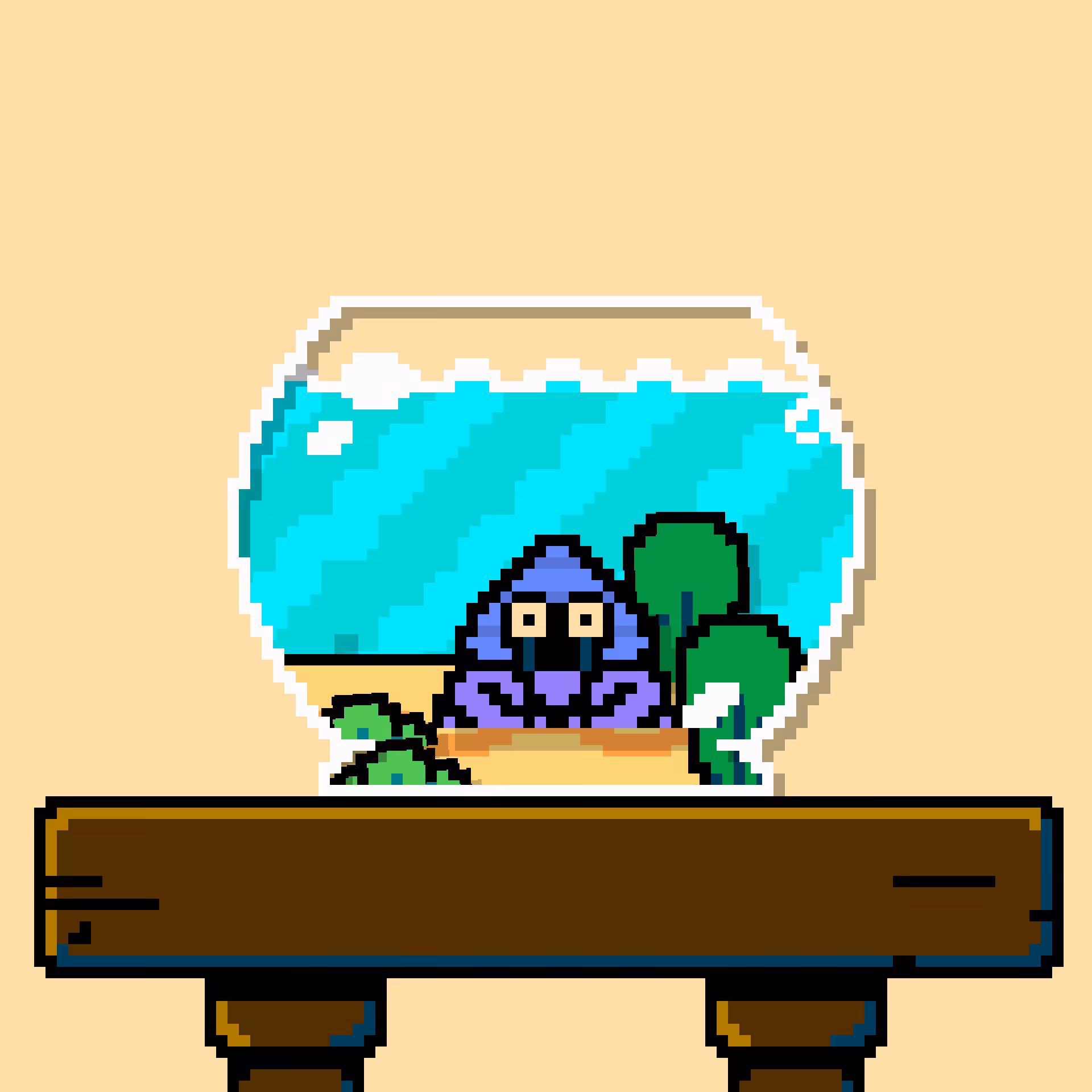 hermit crab #213