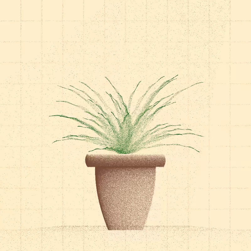 🌱 Potted & Printed #25