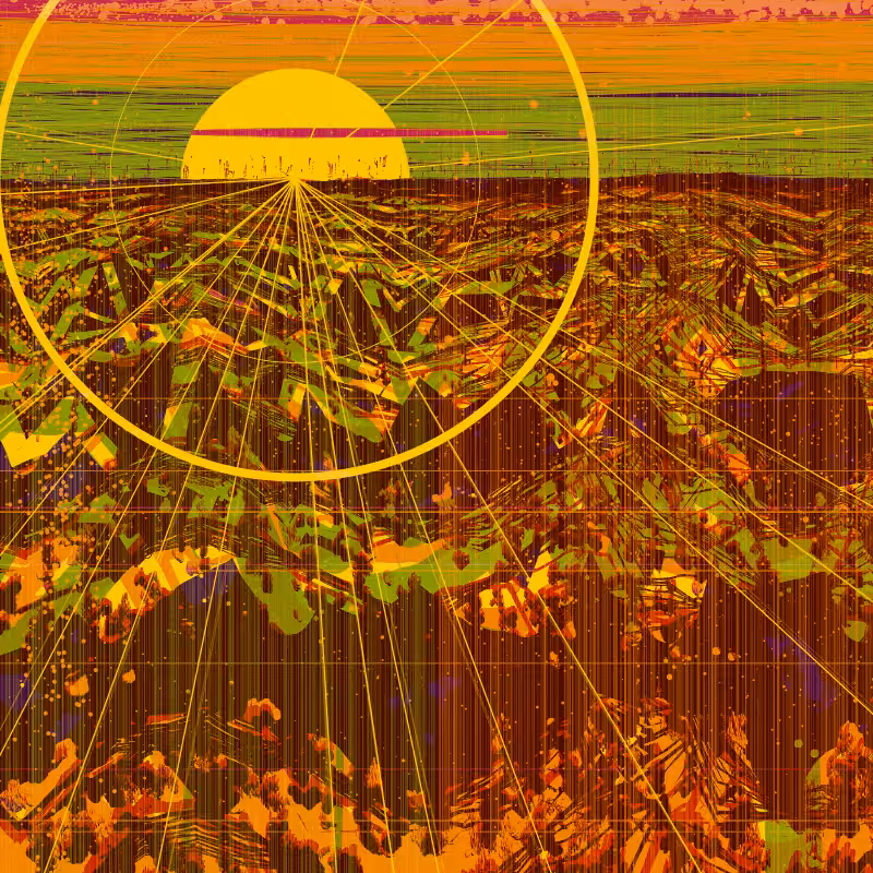The Valley #47