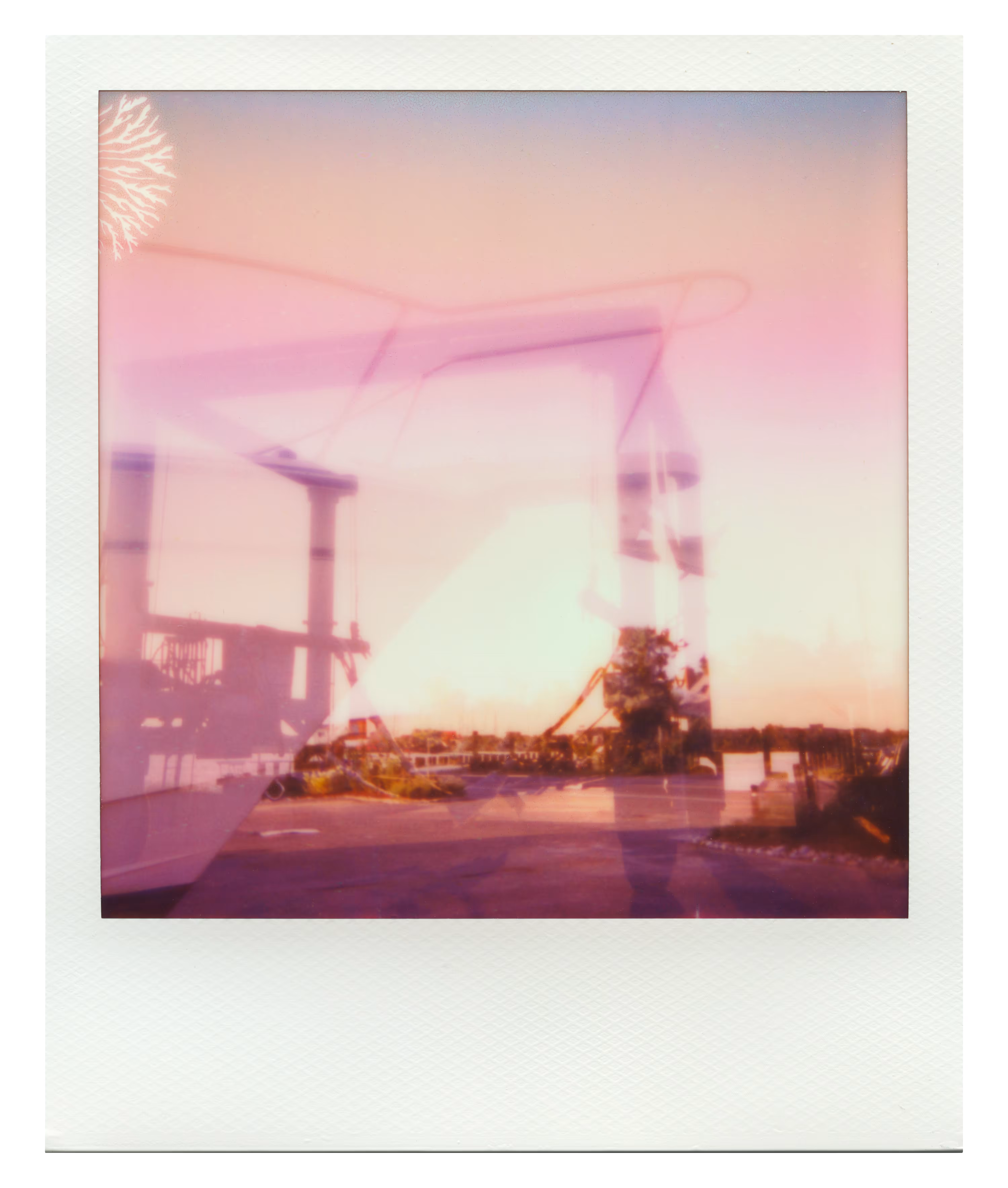Endless Summer  |  13  | Manifestation