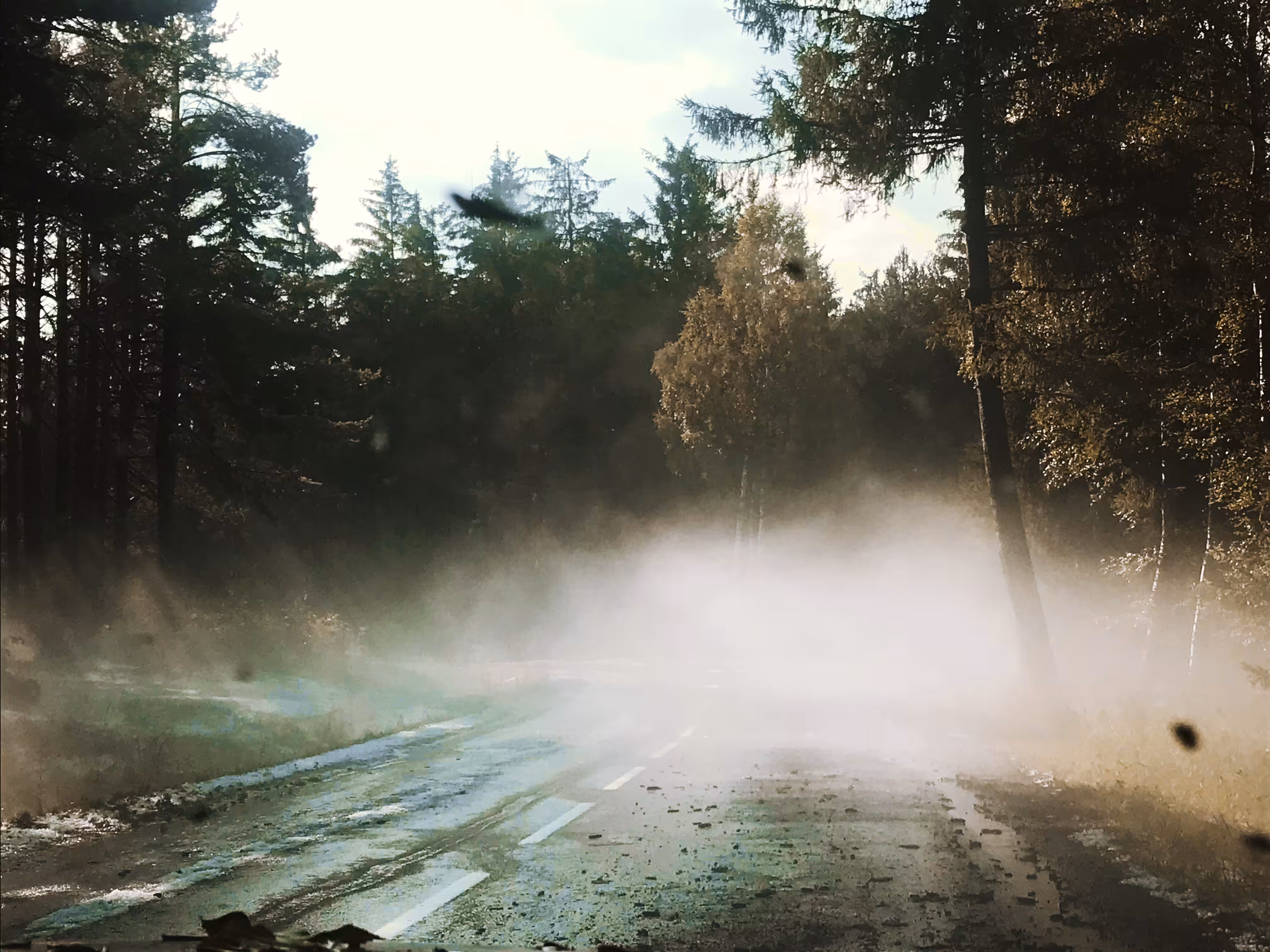 After the rain
