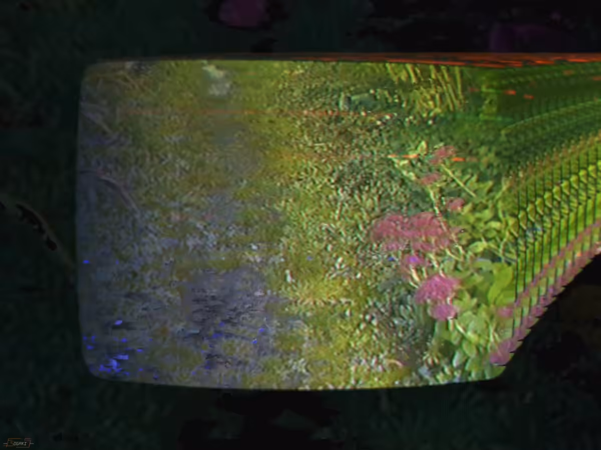 TFO]-[05