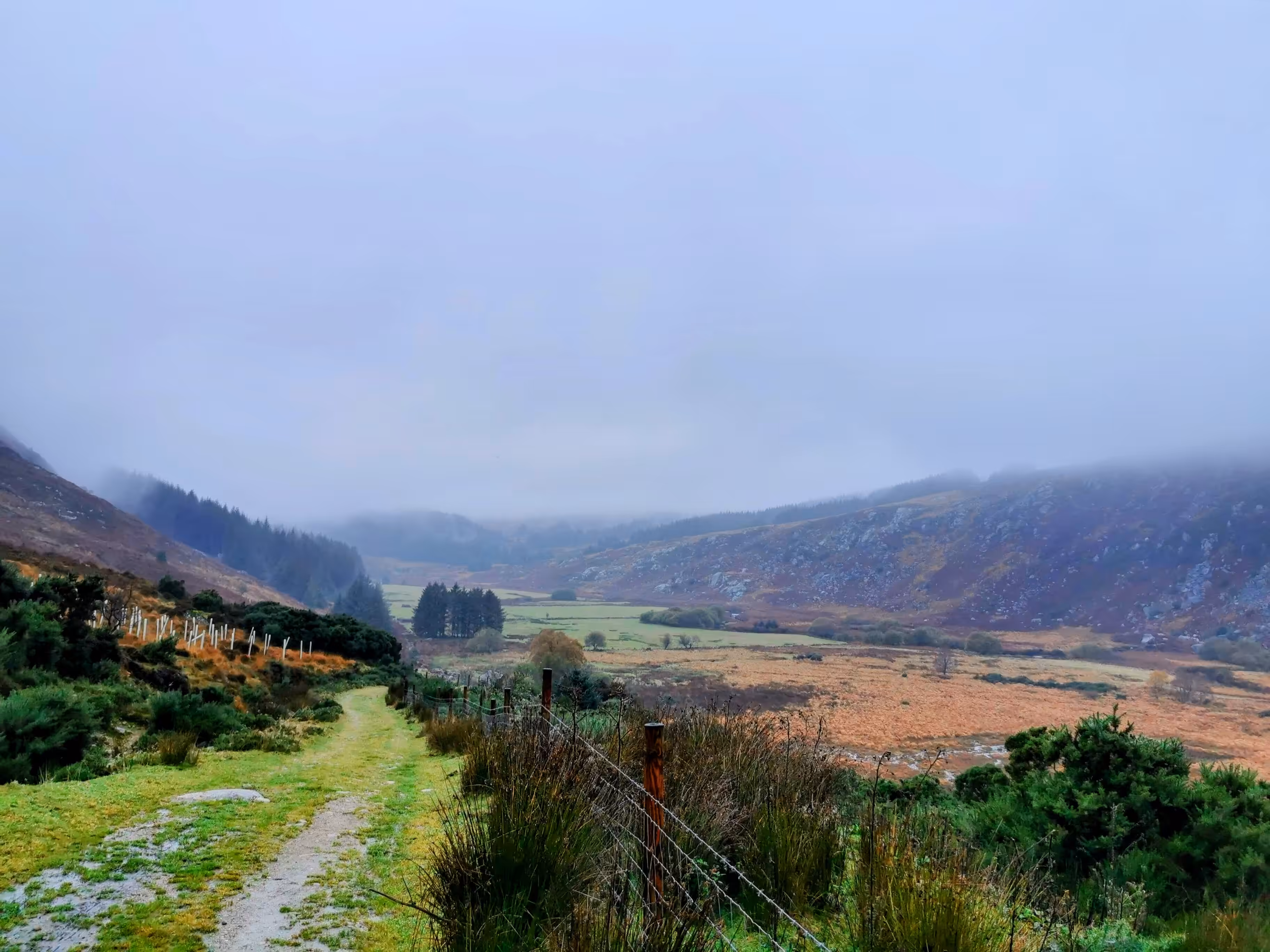 Nature's Canvas: Autumn’s Valley