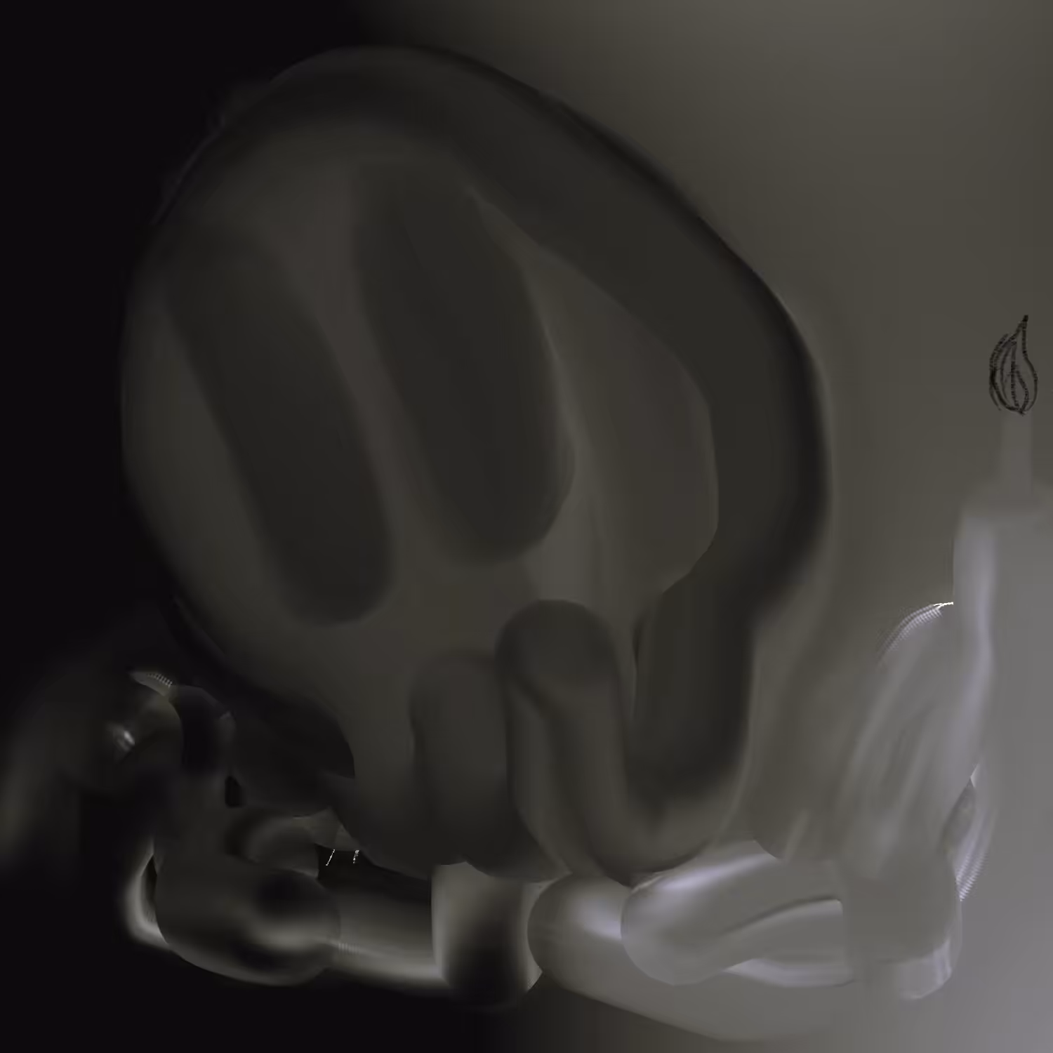 Æ W A K E