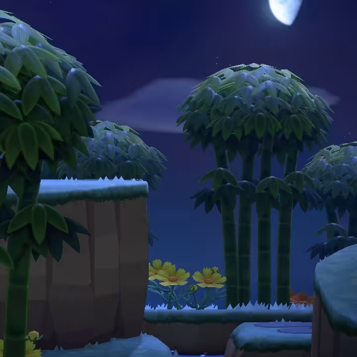 bamboo dreams