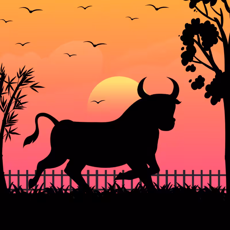 We Care...Bull #1