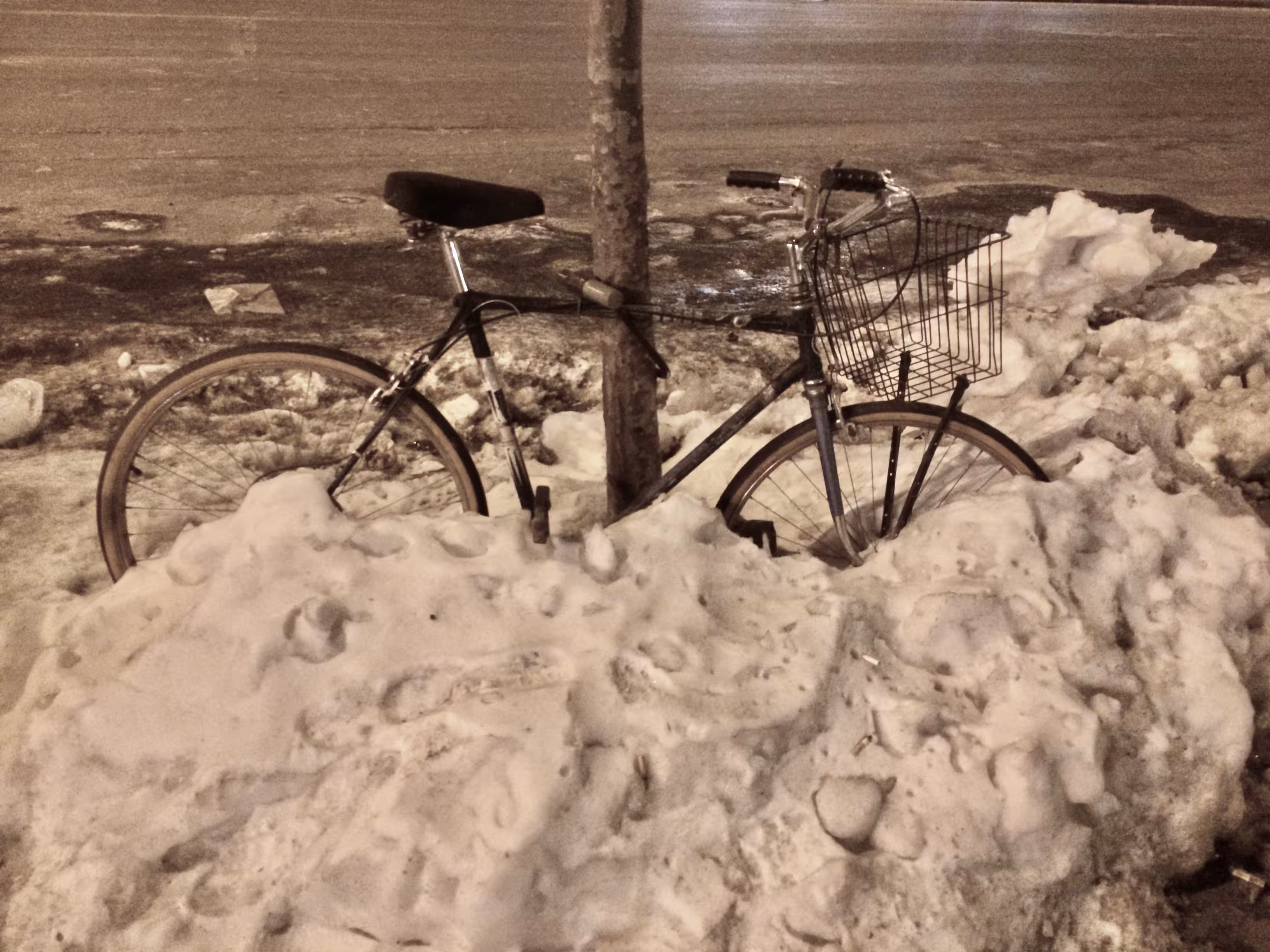 Bike#15