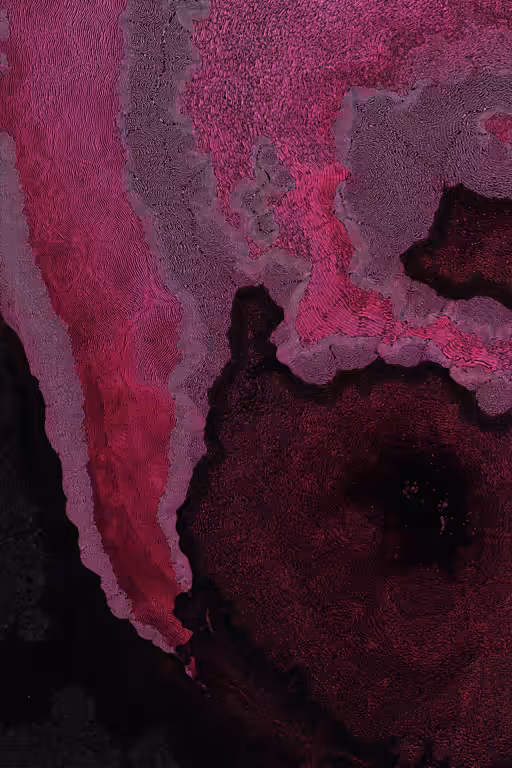 Dactylogram #14