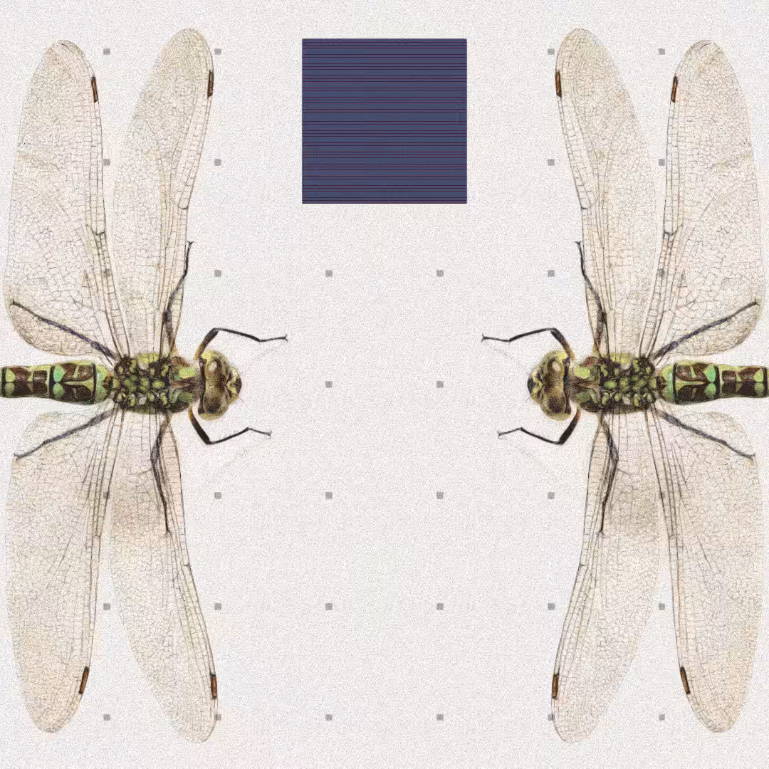 Dragonfly #6