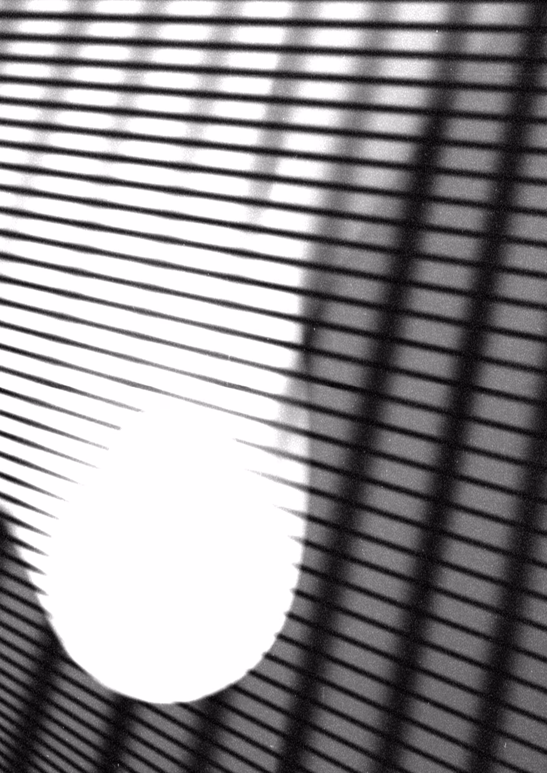 synthetic photography — sk220321_013