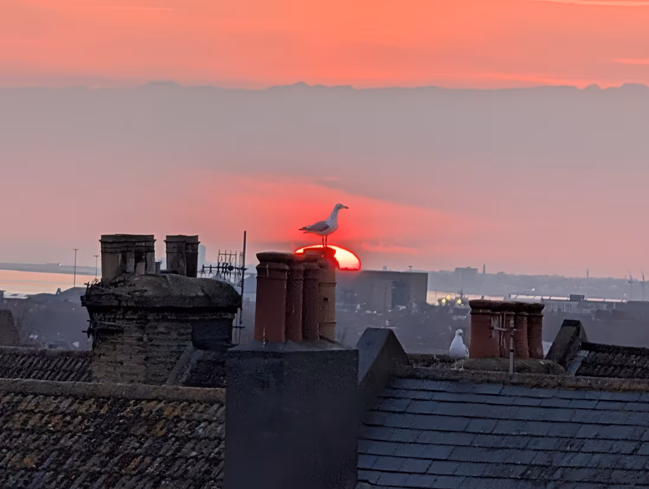 Hove, Actually