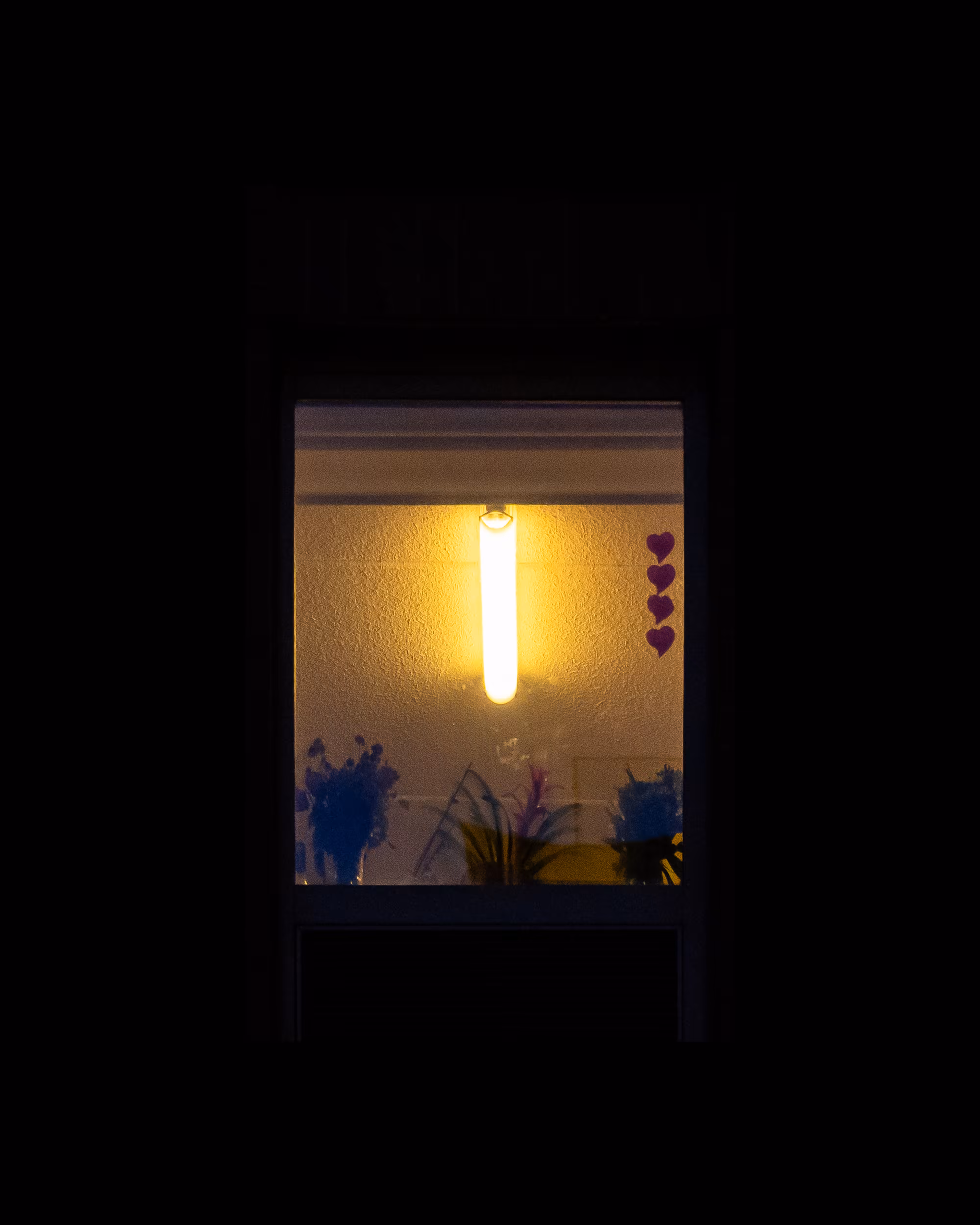WINDOW 890